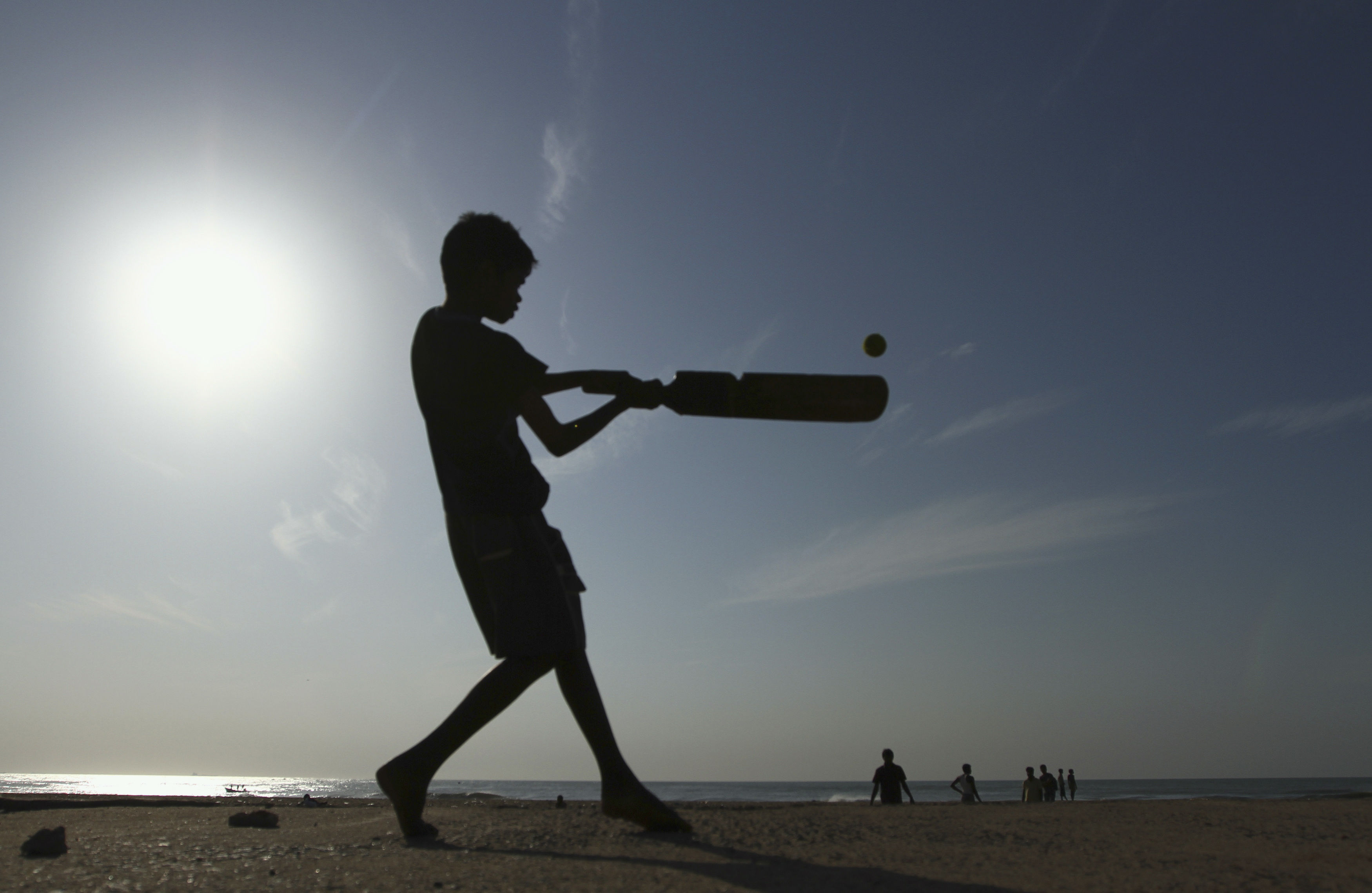 cricket on the beach
