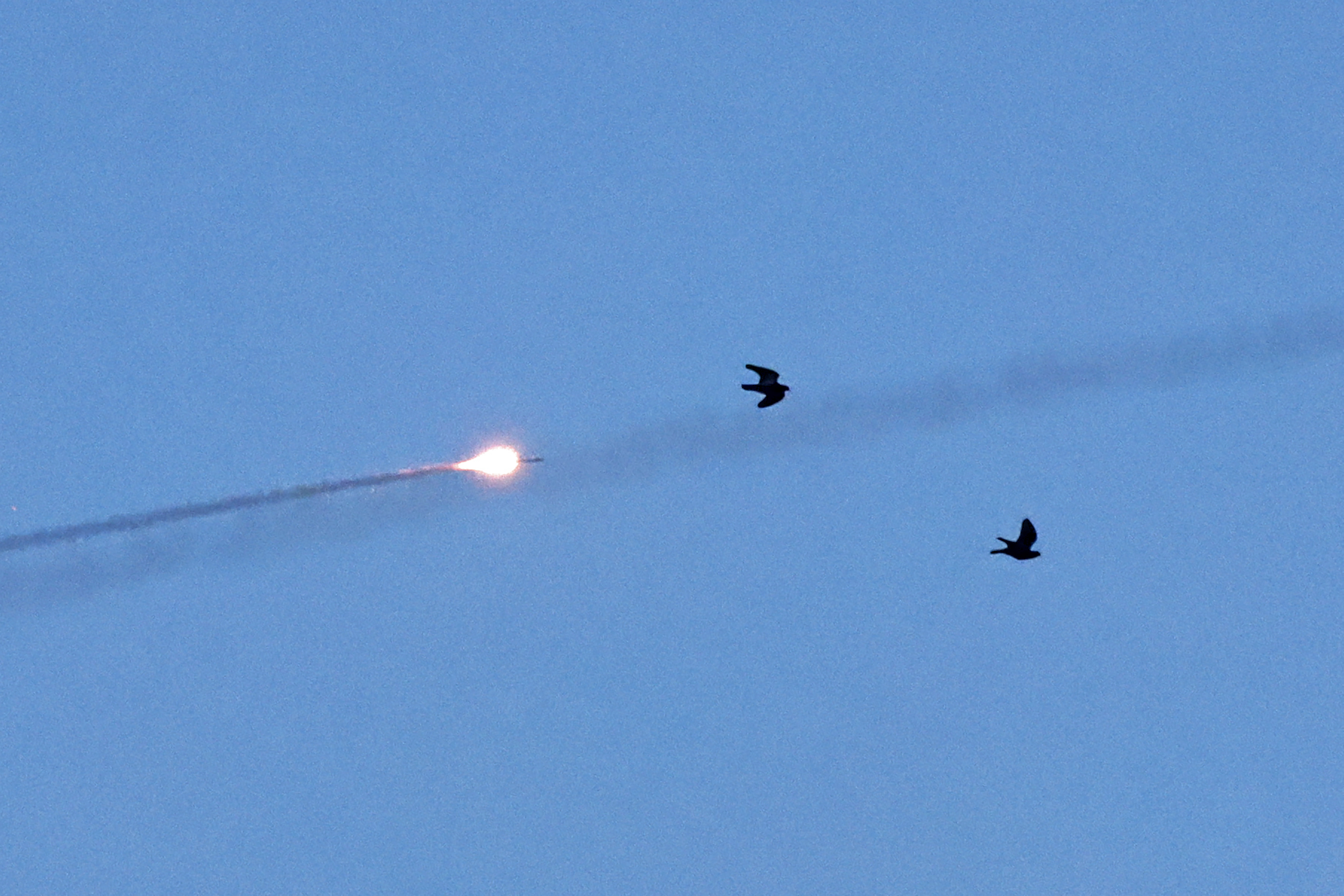 Birds fly in the sky as a rocket is launched