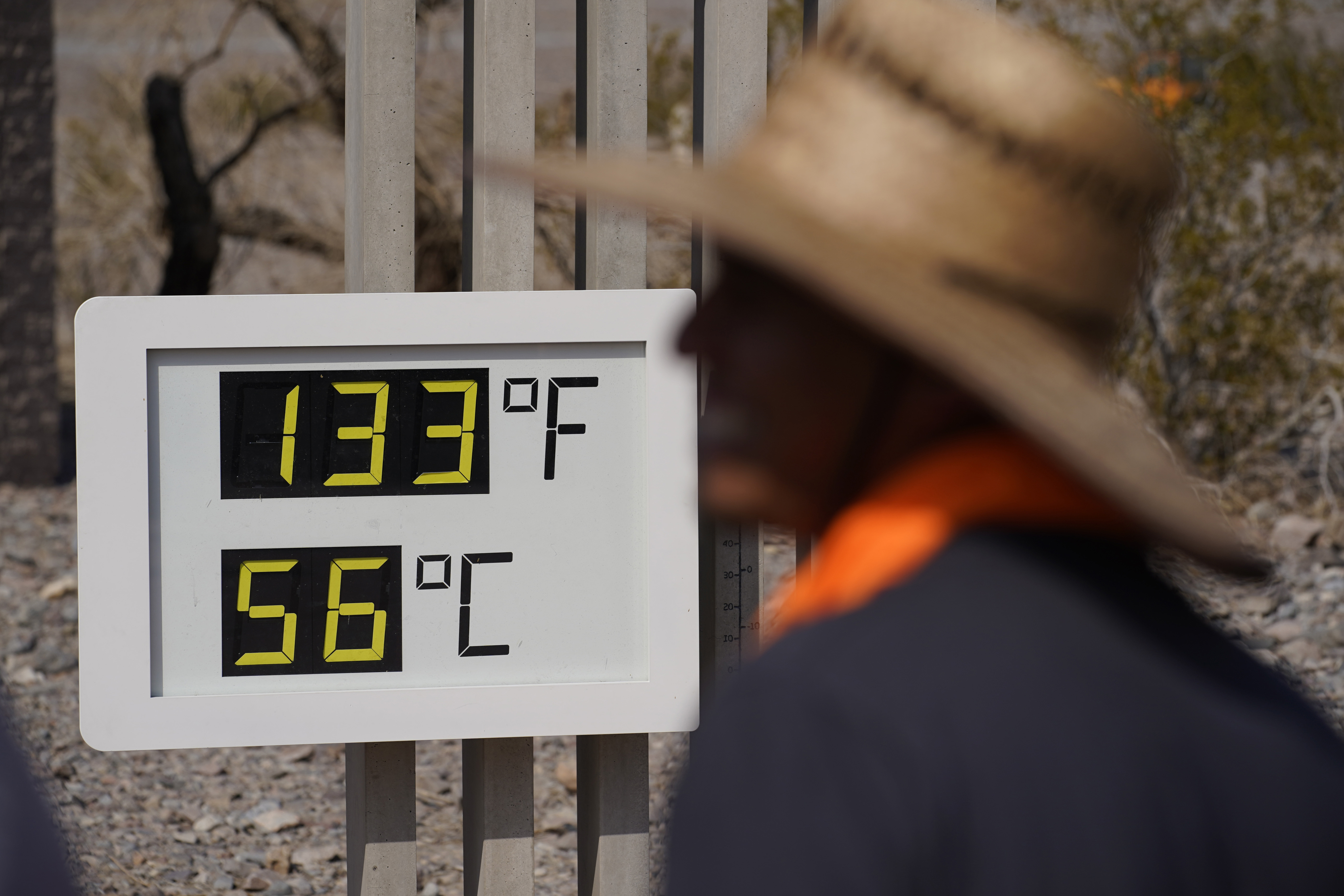 thermometer reading