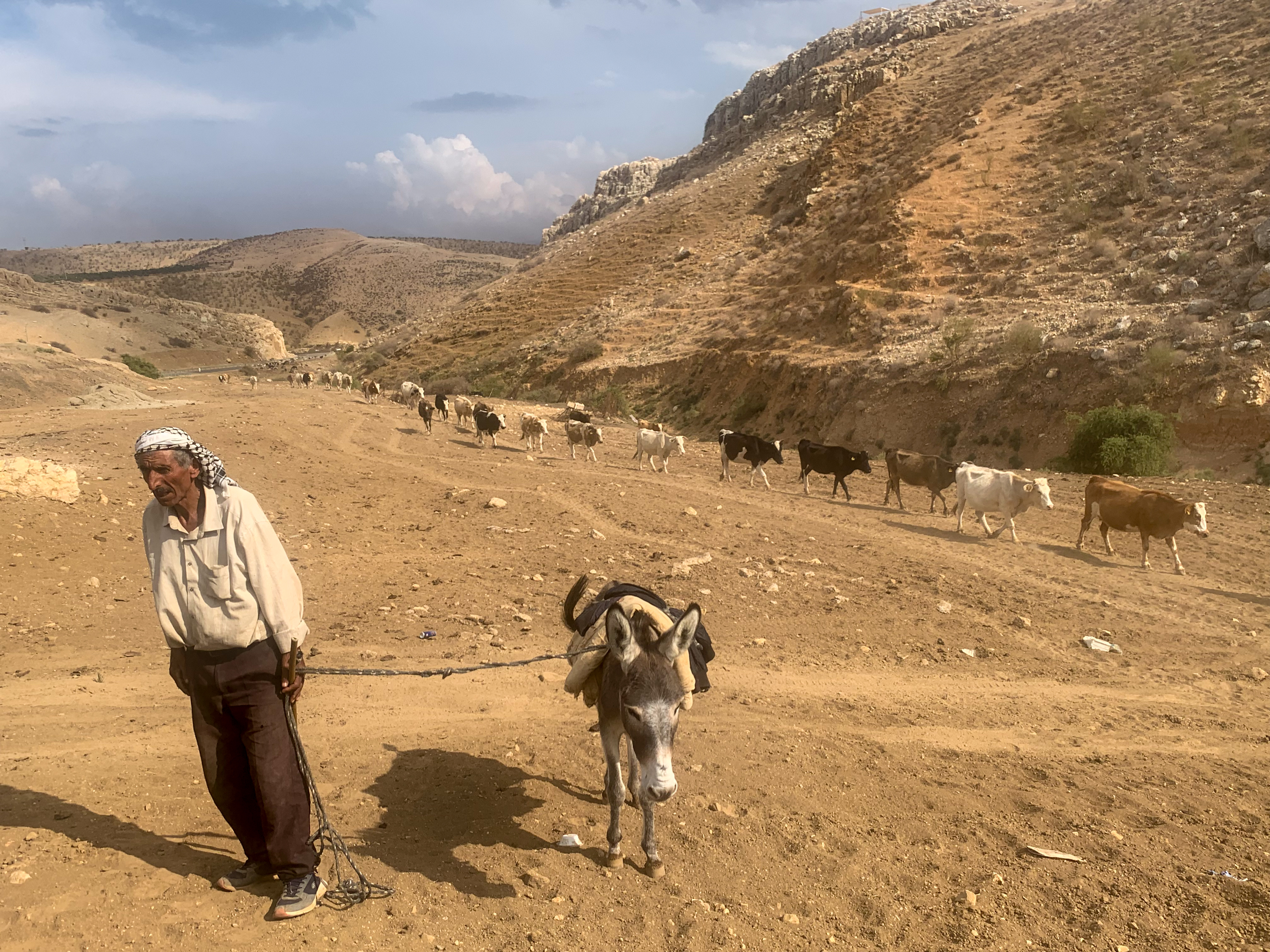Palestinian farmer