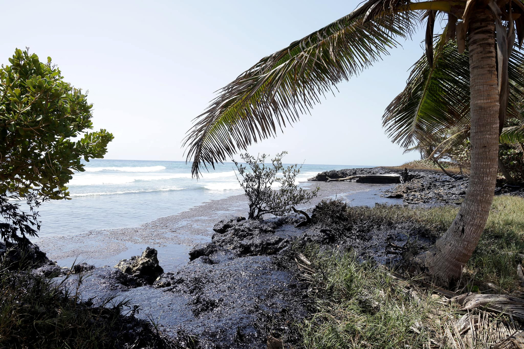 Mystery shipwreck causes disastrous oil spill in Trinidad