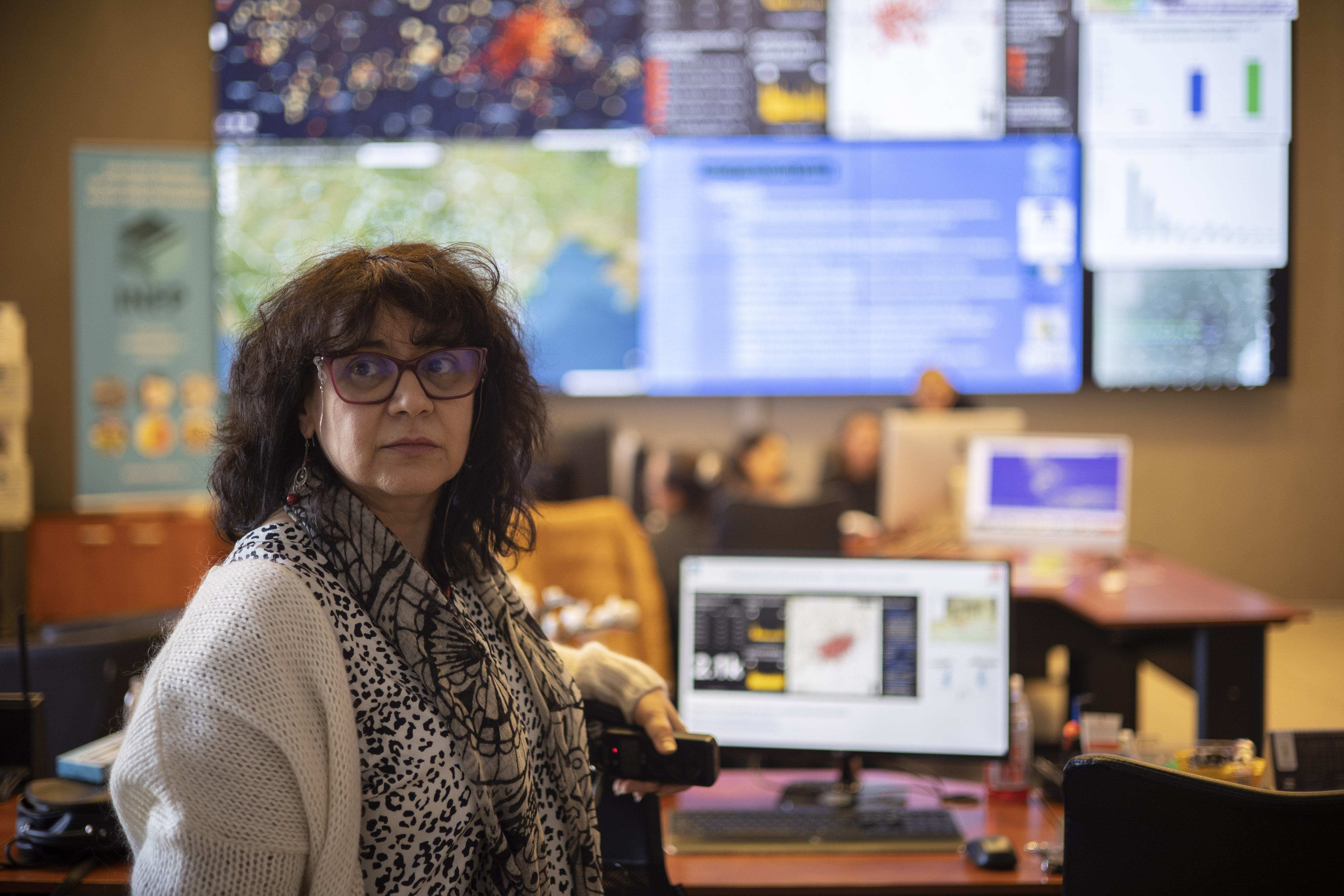Dr Carmen Ortanza Cioflan, Scientific Director at the INCDFP
