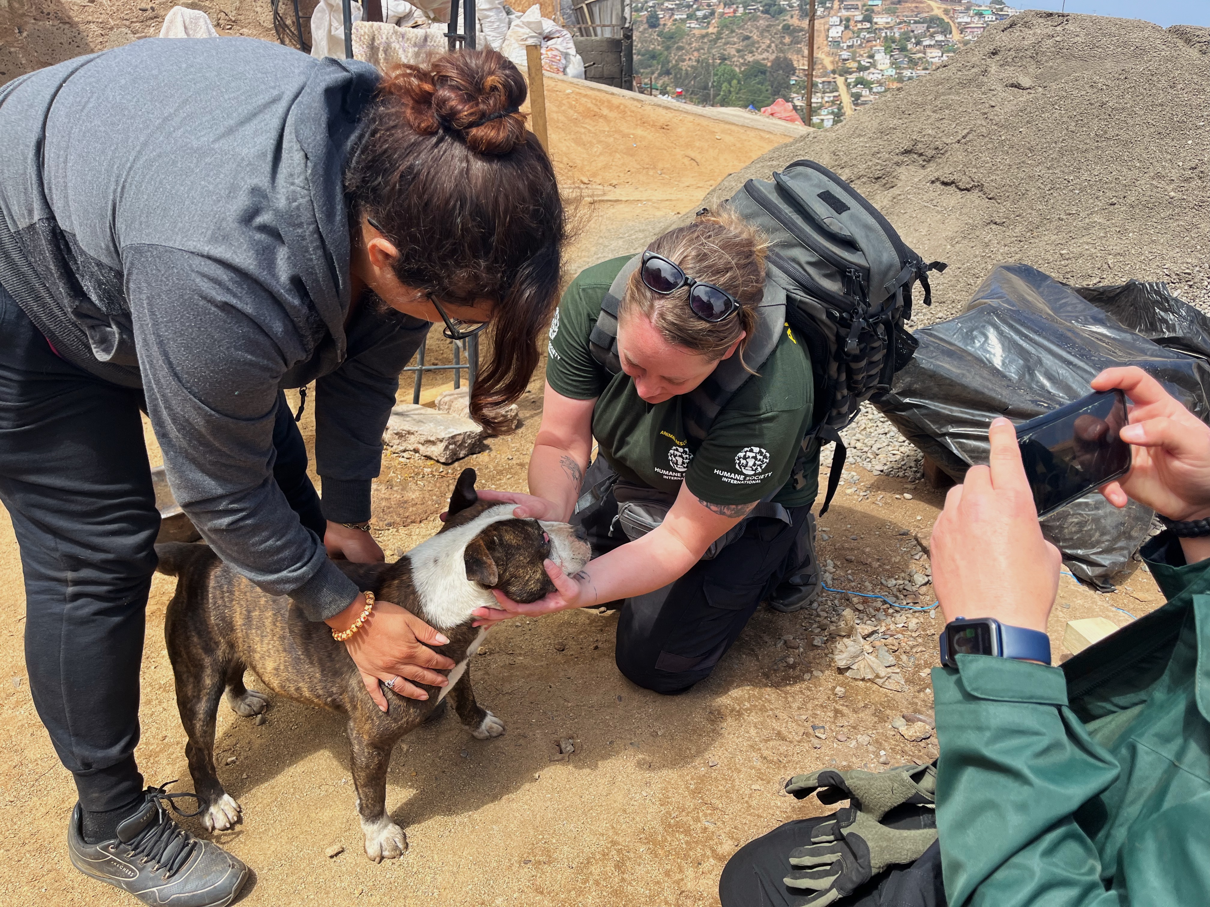 Margarita Herrera, left, holds her pitbull Nitro still for an inspection in the hard-hit neighbourhood of El Olivar in Viña del Mar, Chile