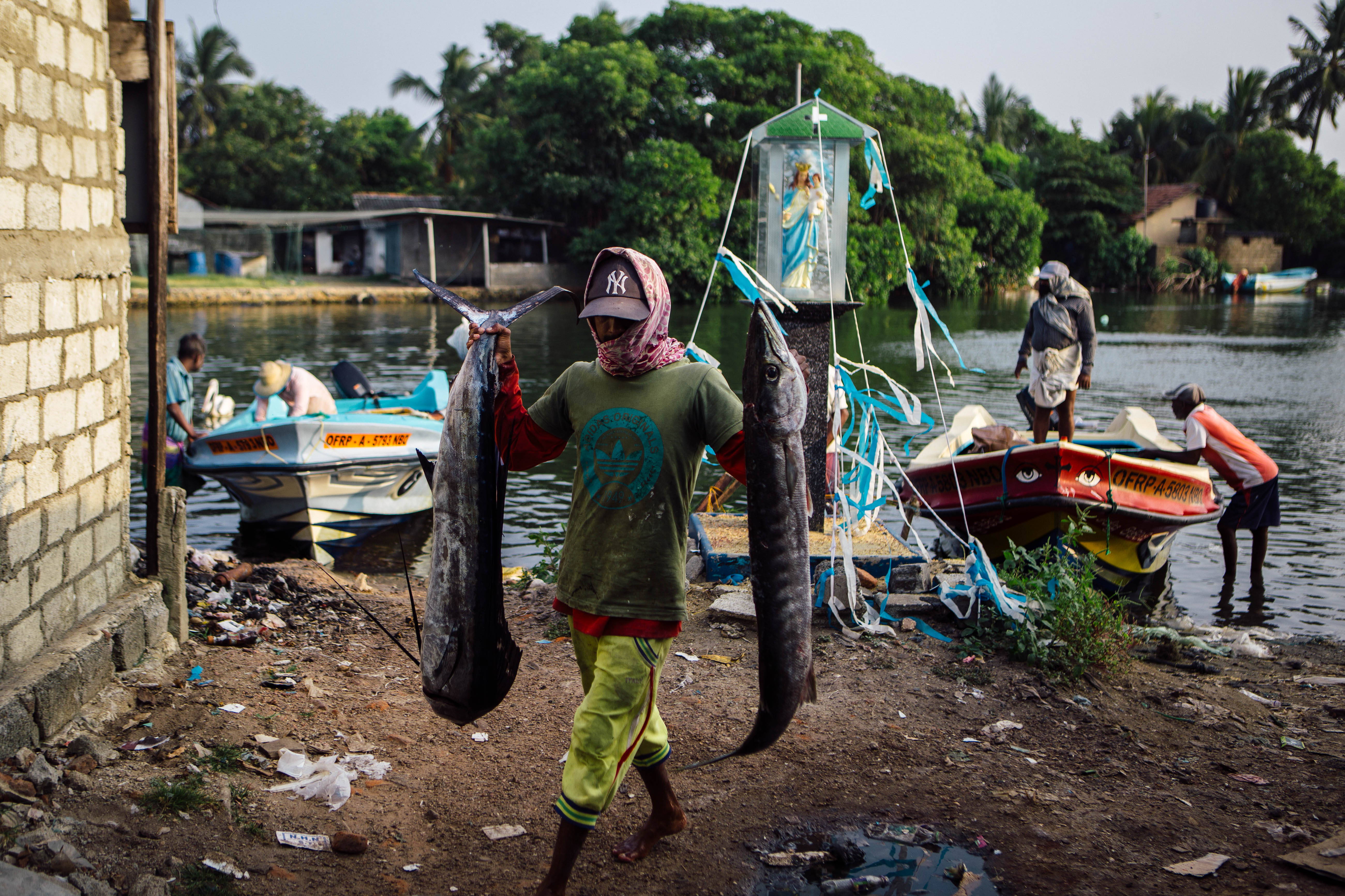 A fisherman brings in part of his catch for the day close to the Negombo fish market on the western coast of Sri Lanka, just north of the capital, Colombo