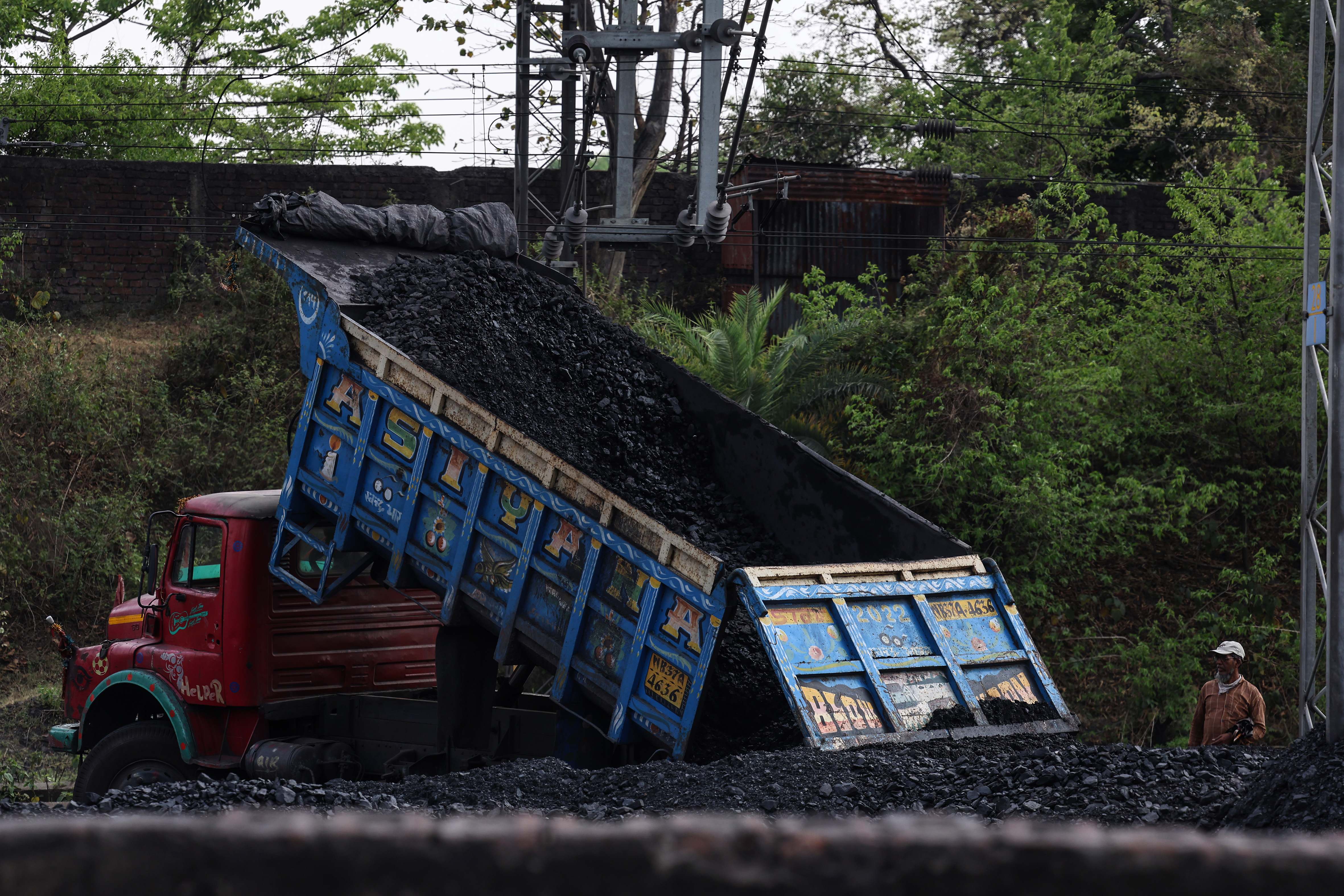 Coal