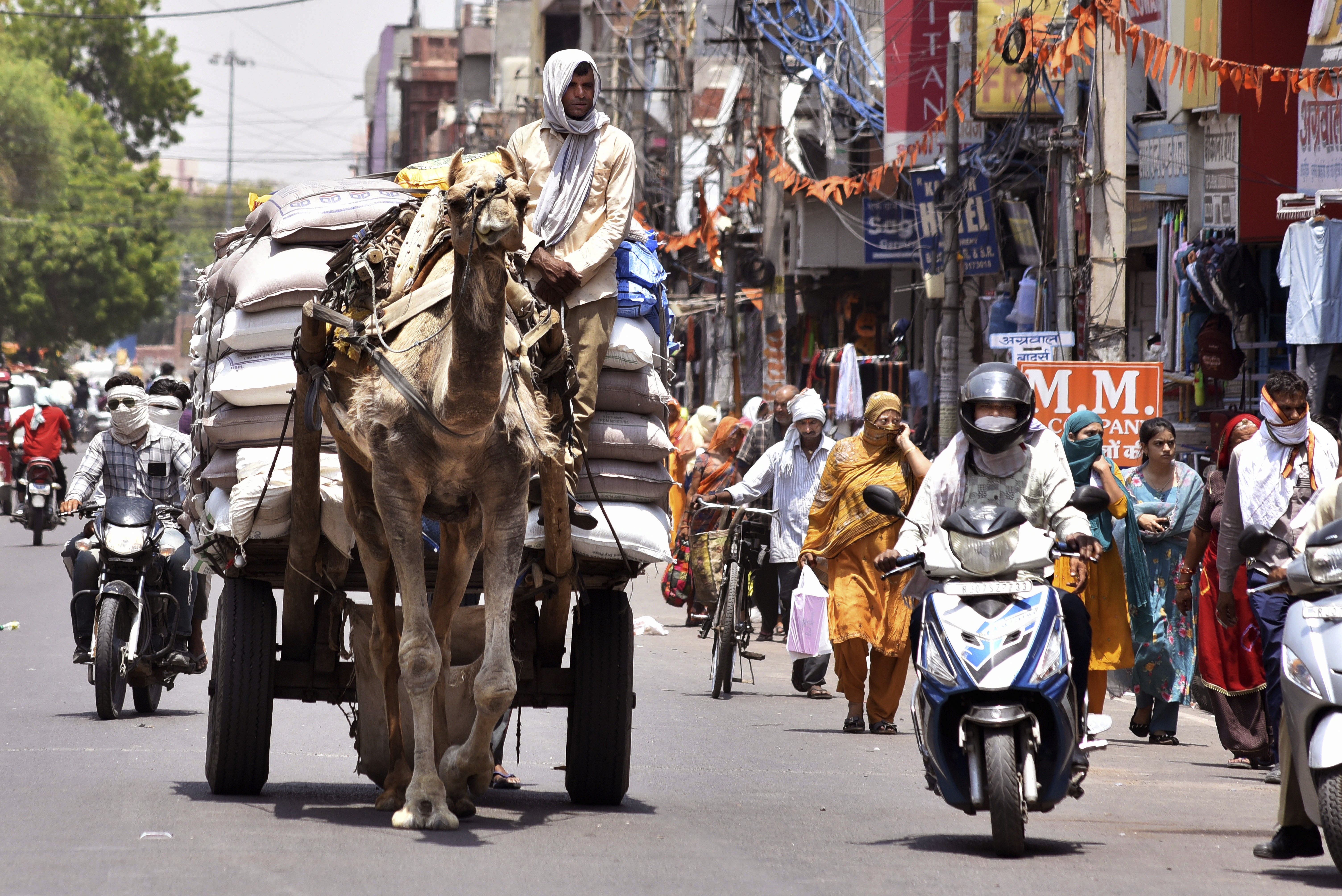 Weeks of sweltering heat scorch northern India