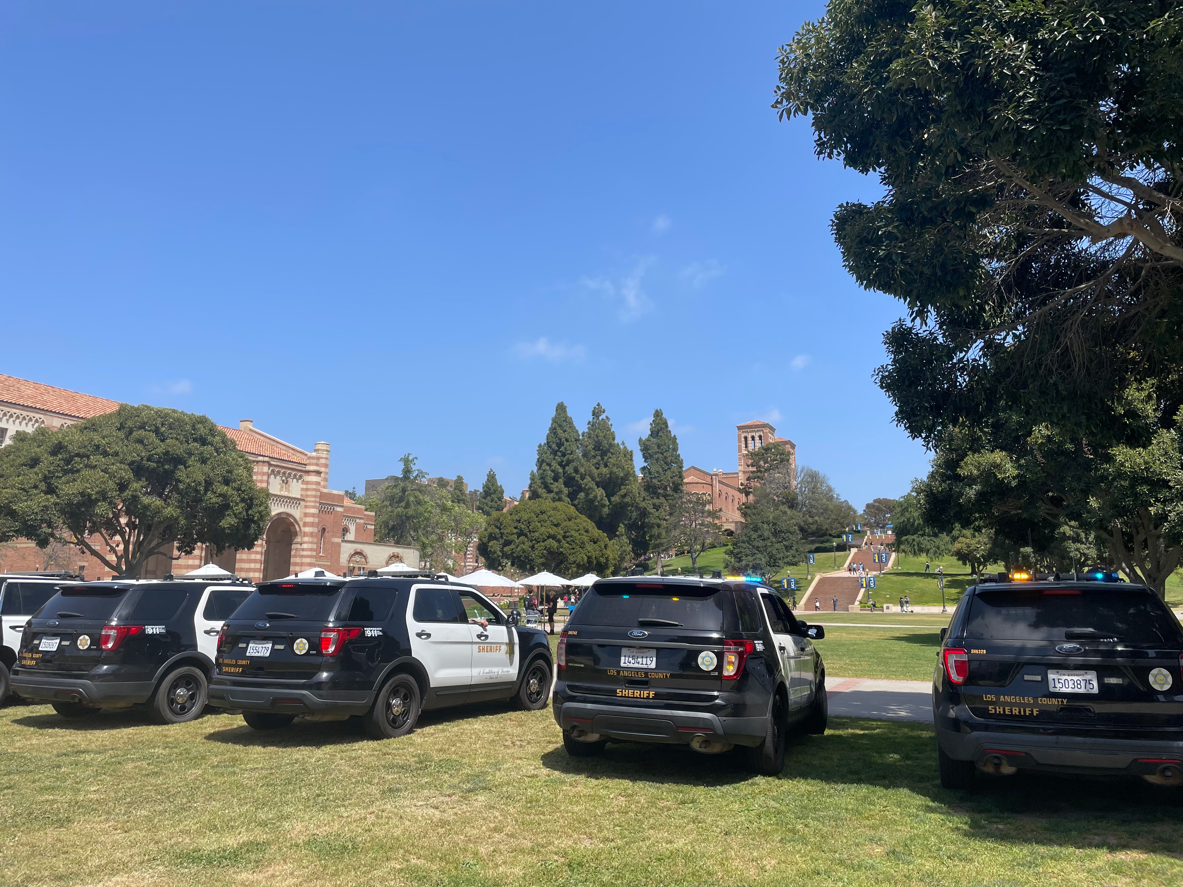 Police cars line up outside the pro-Palestinian encampment at UCLA on May 1
