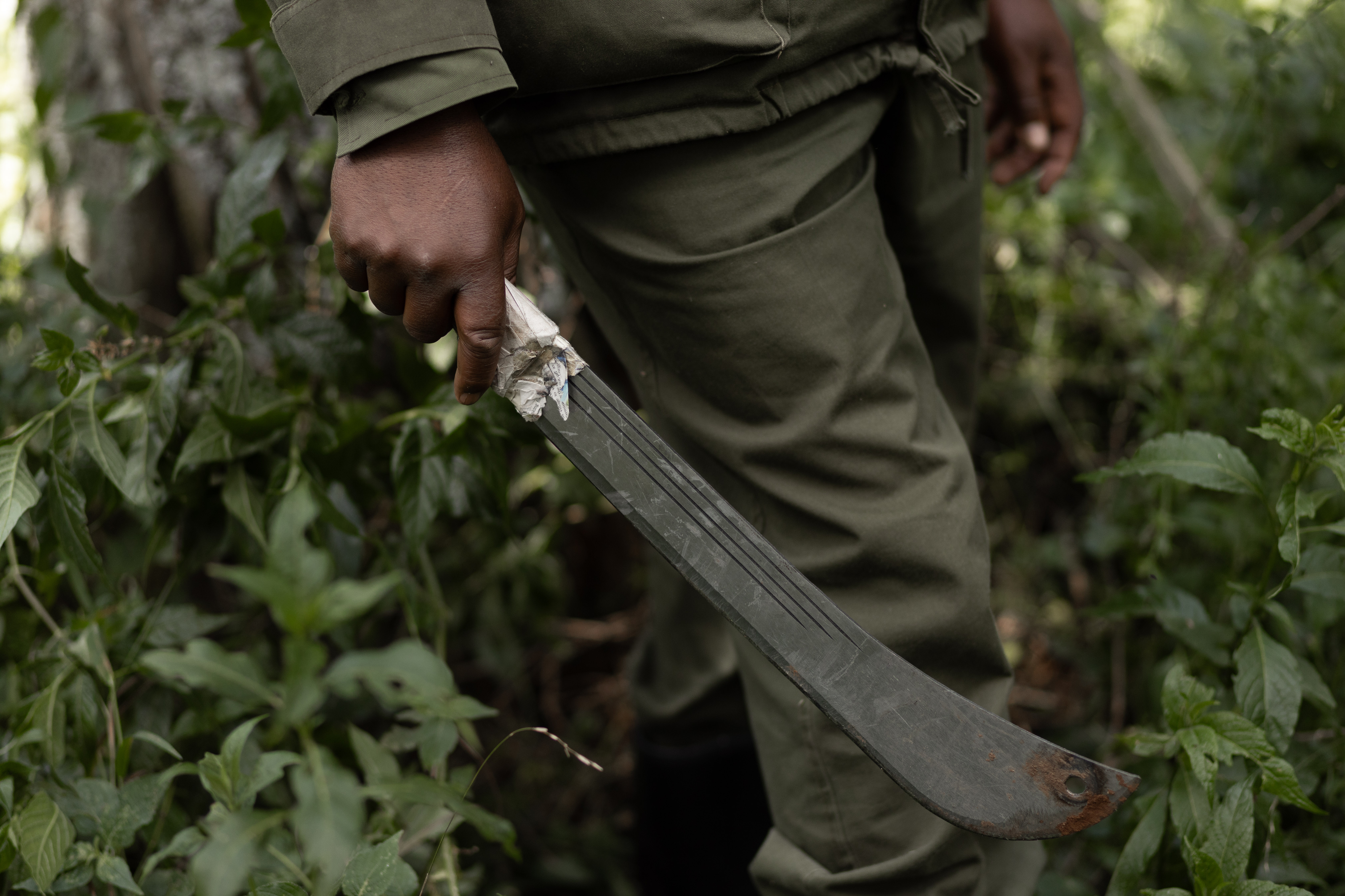 Kenya rangers
