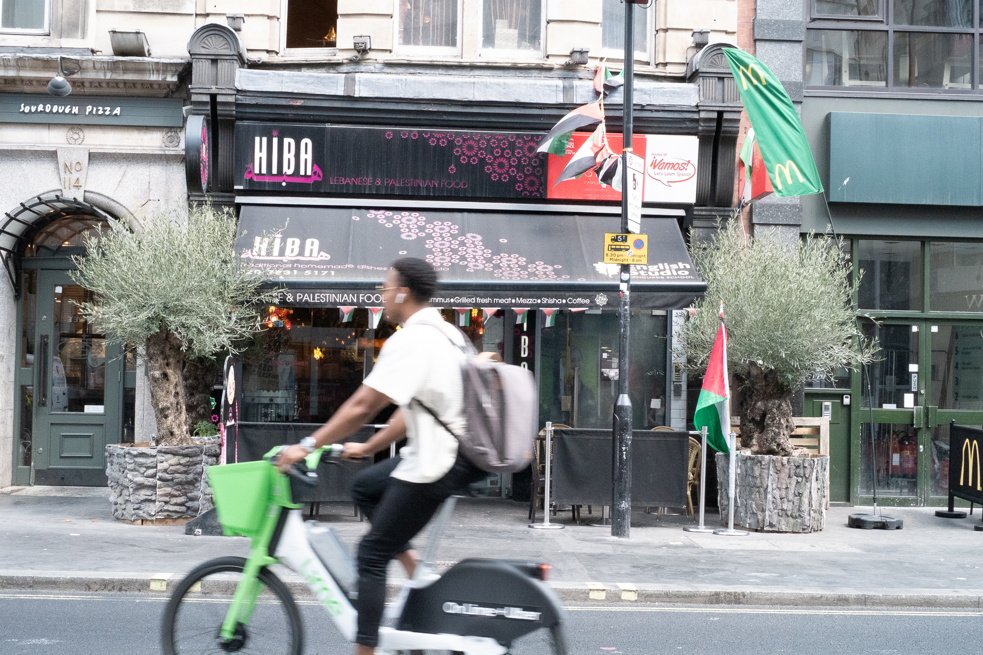 Pro-Palestine flags
