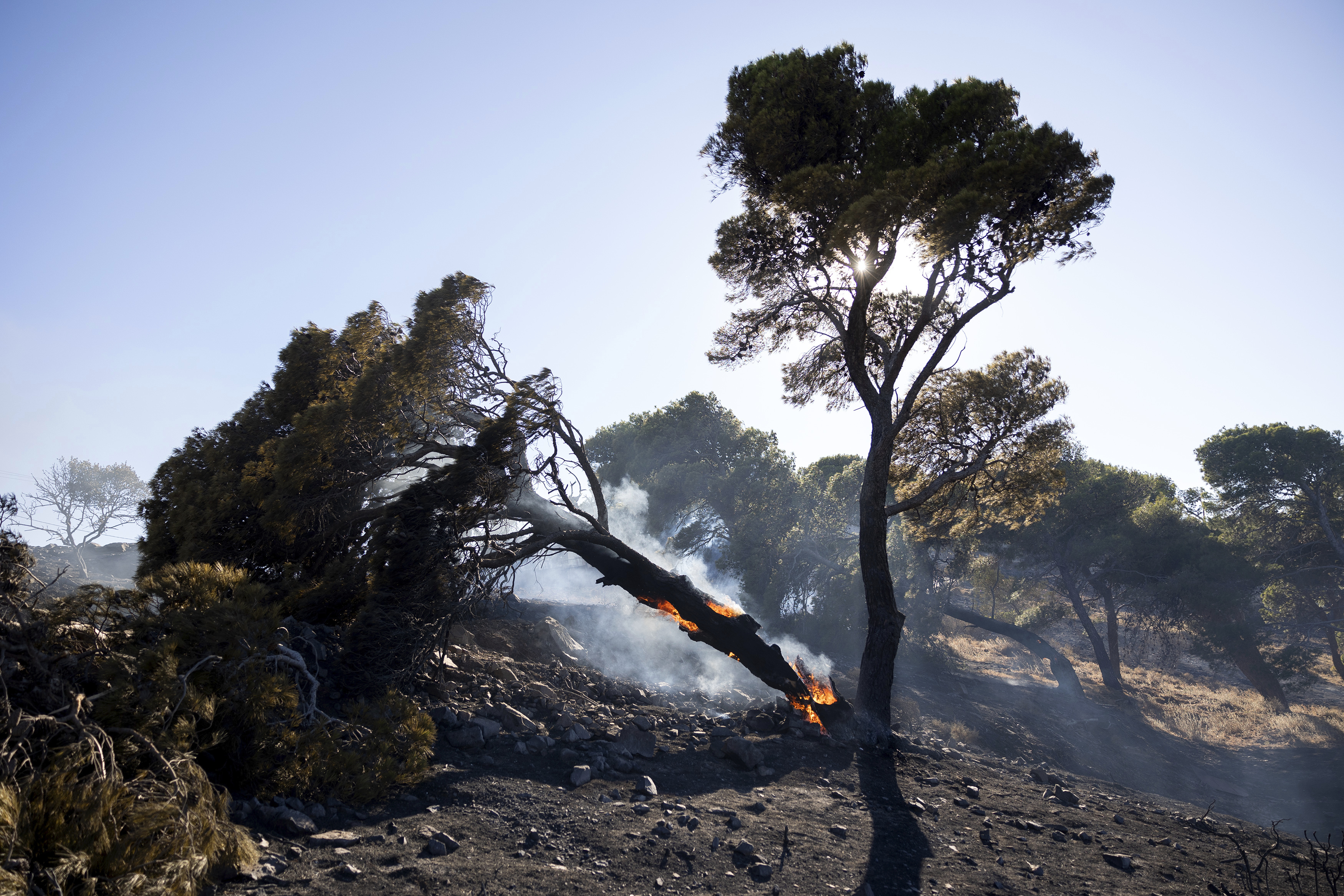 Firefighters were battling a series of wildfires near the Greek capital Athens on Sunday evening