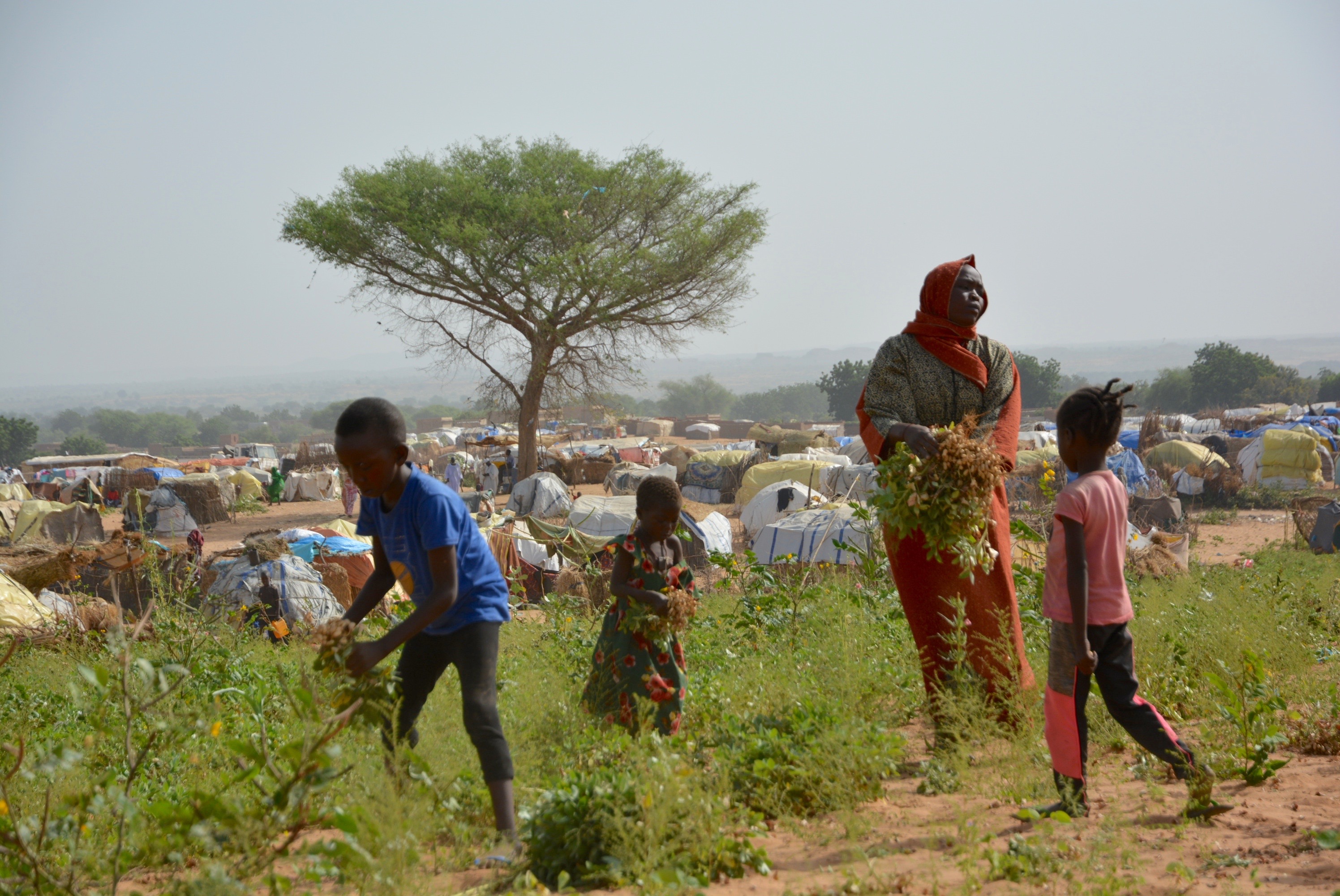 Sudan