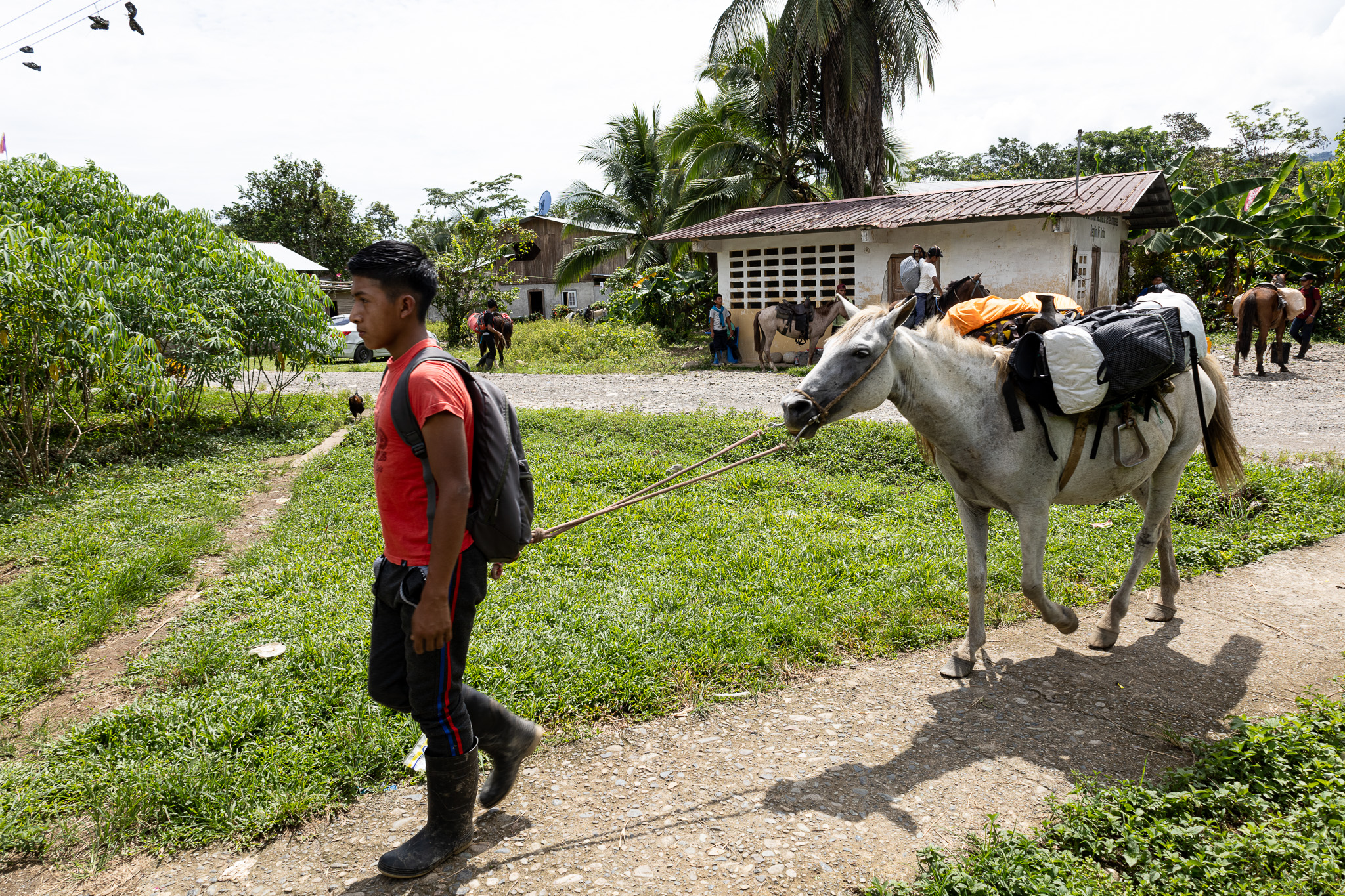 A resident of La Sabana guides a pack horse carrying the Floating Doctors' equipment as the medical team begins the four-hour ascent to the village