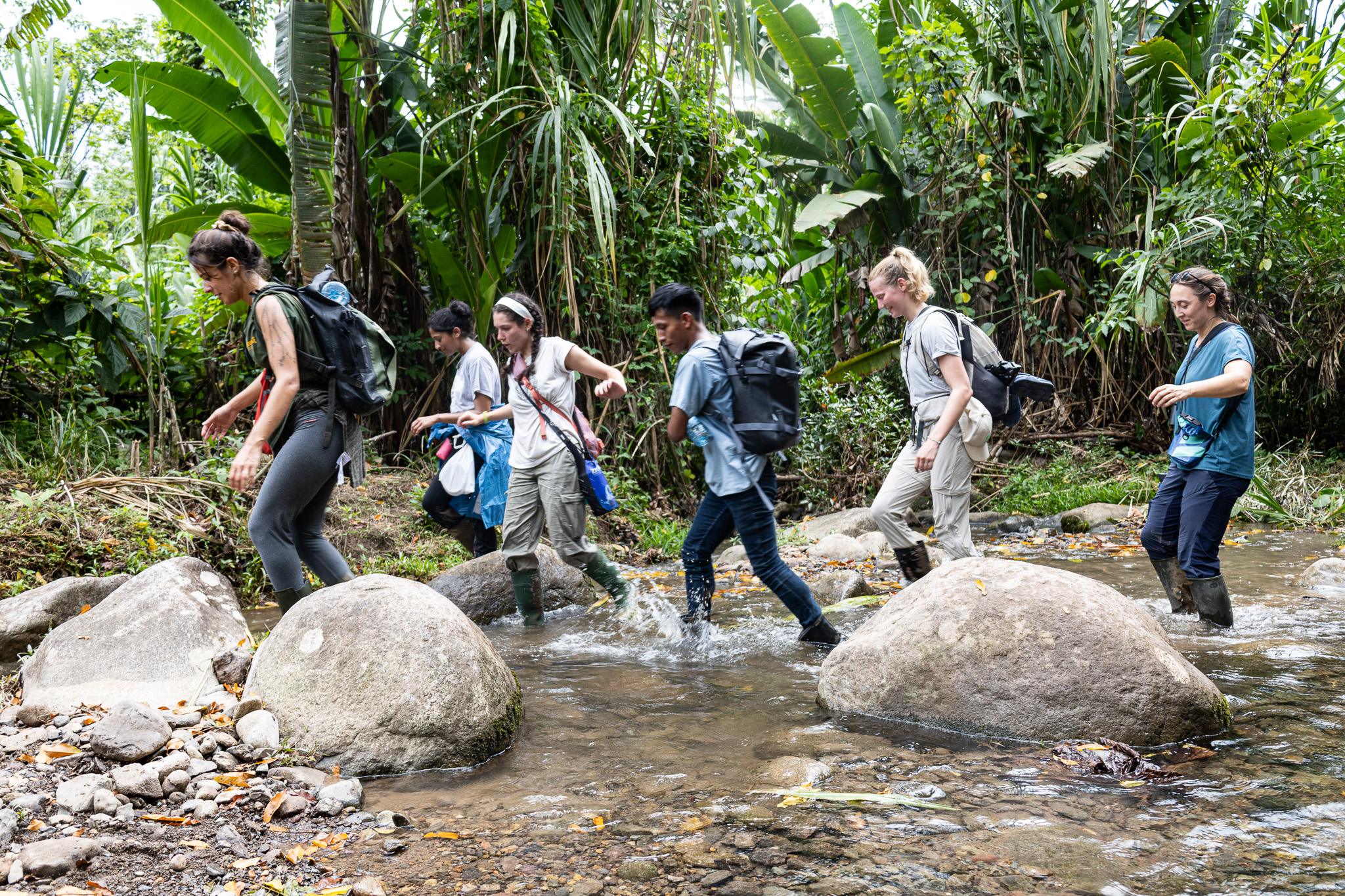 On a hot and humid morning in June, the volunteers cross a small creek during the trek to La Sabana