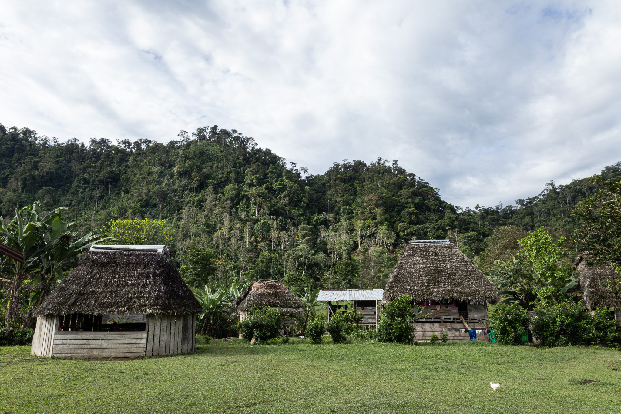 The village of La Sabana is home to 200 or so residents of the Indigenous group Ngabe-Bugle, who live in wooden homes with dirt floors and thatched roofs