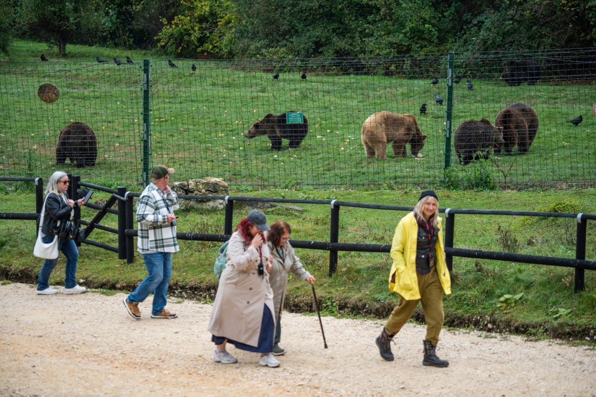 Romania sanctuary seeks to save bears as hunting resumes