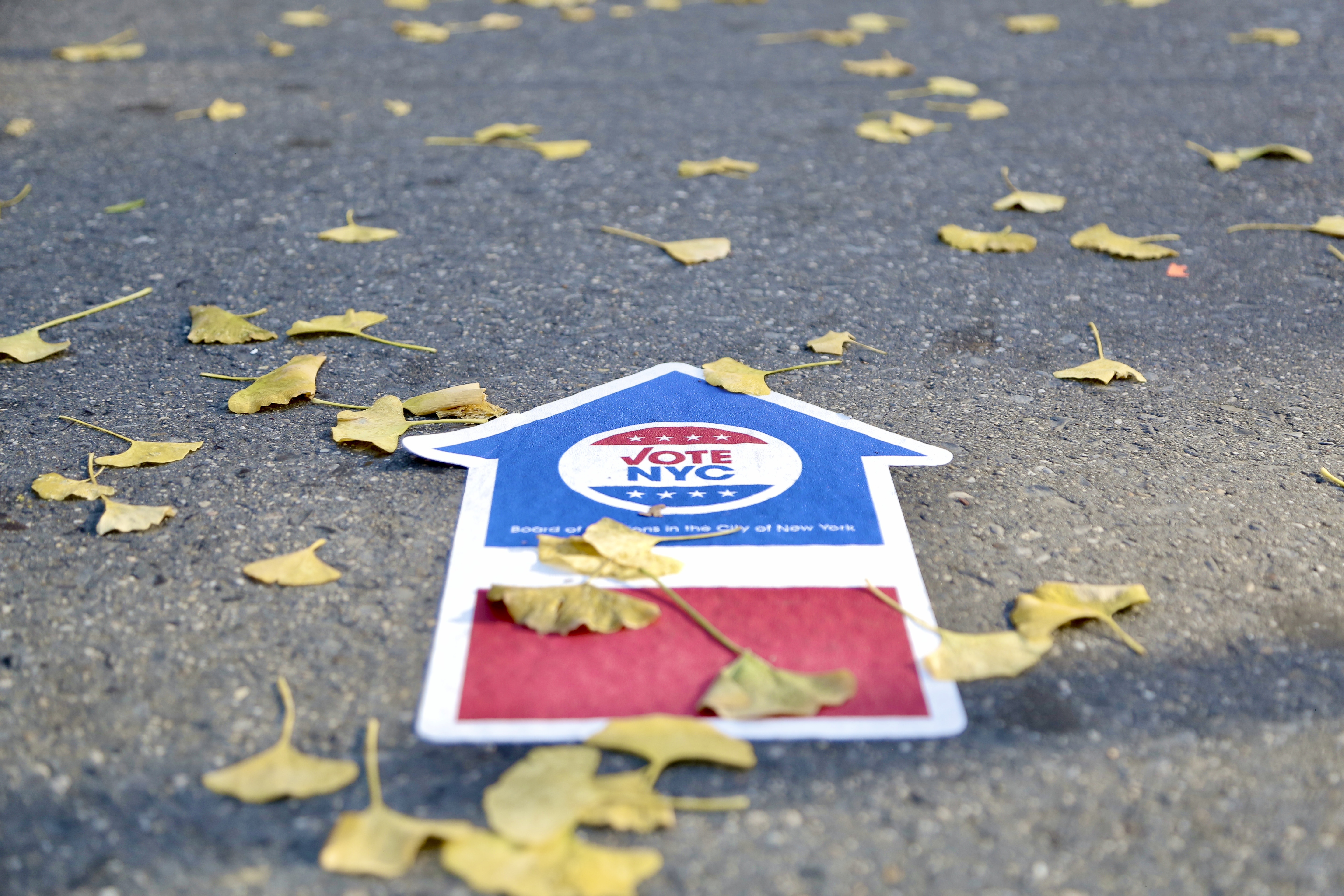 Election 2024 NYC