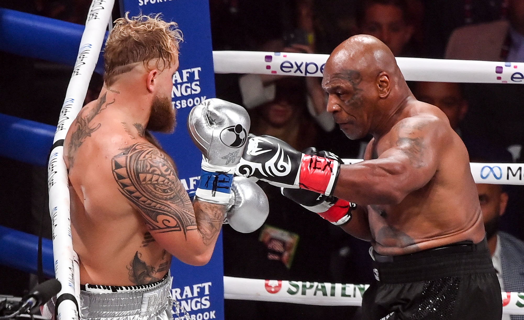 Mike Tyson and Jake Paul.