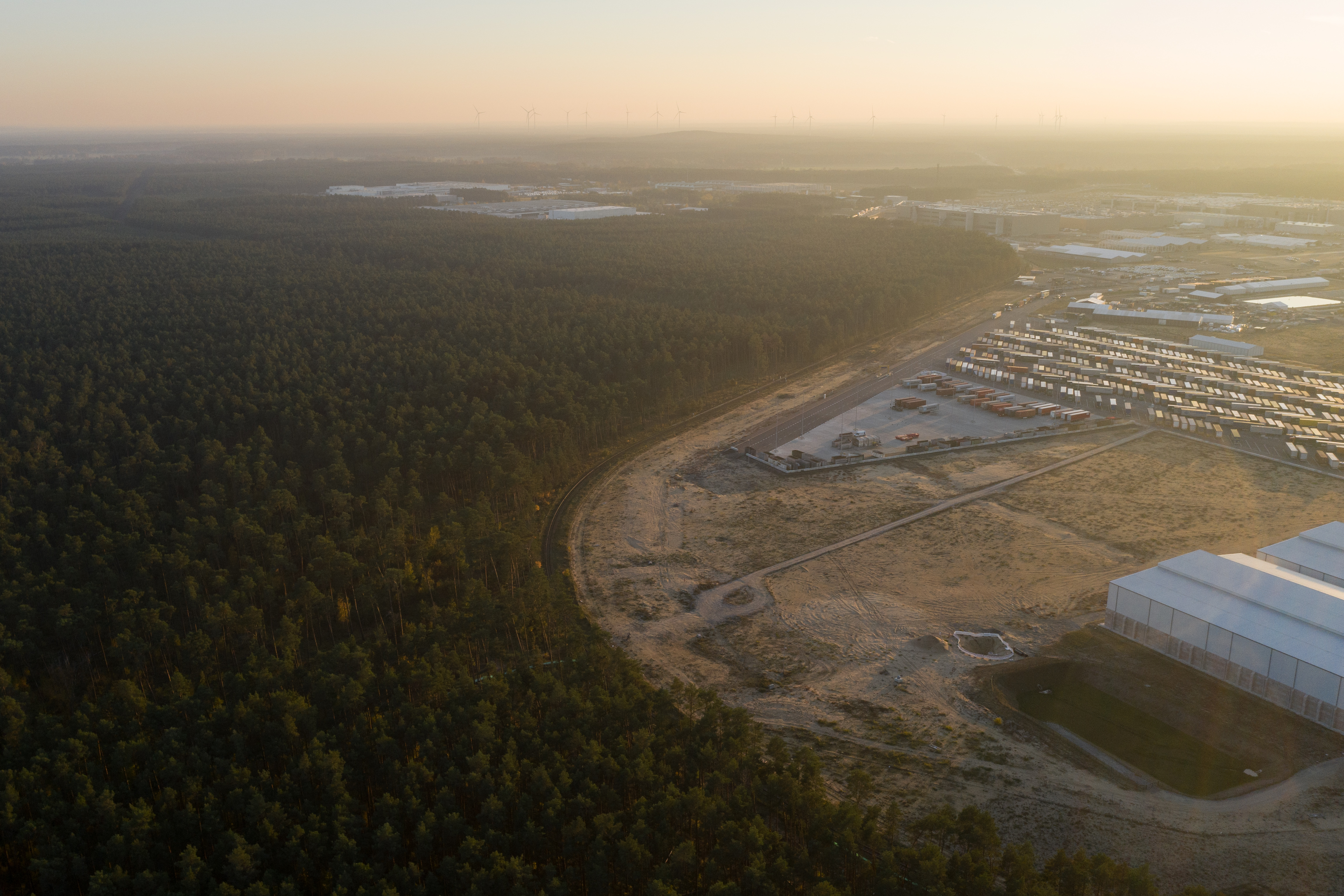 Tesla forest