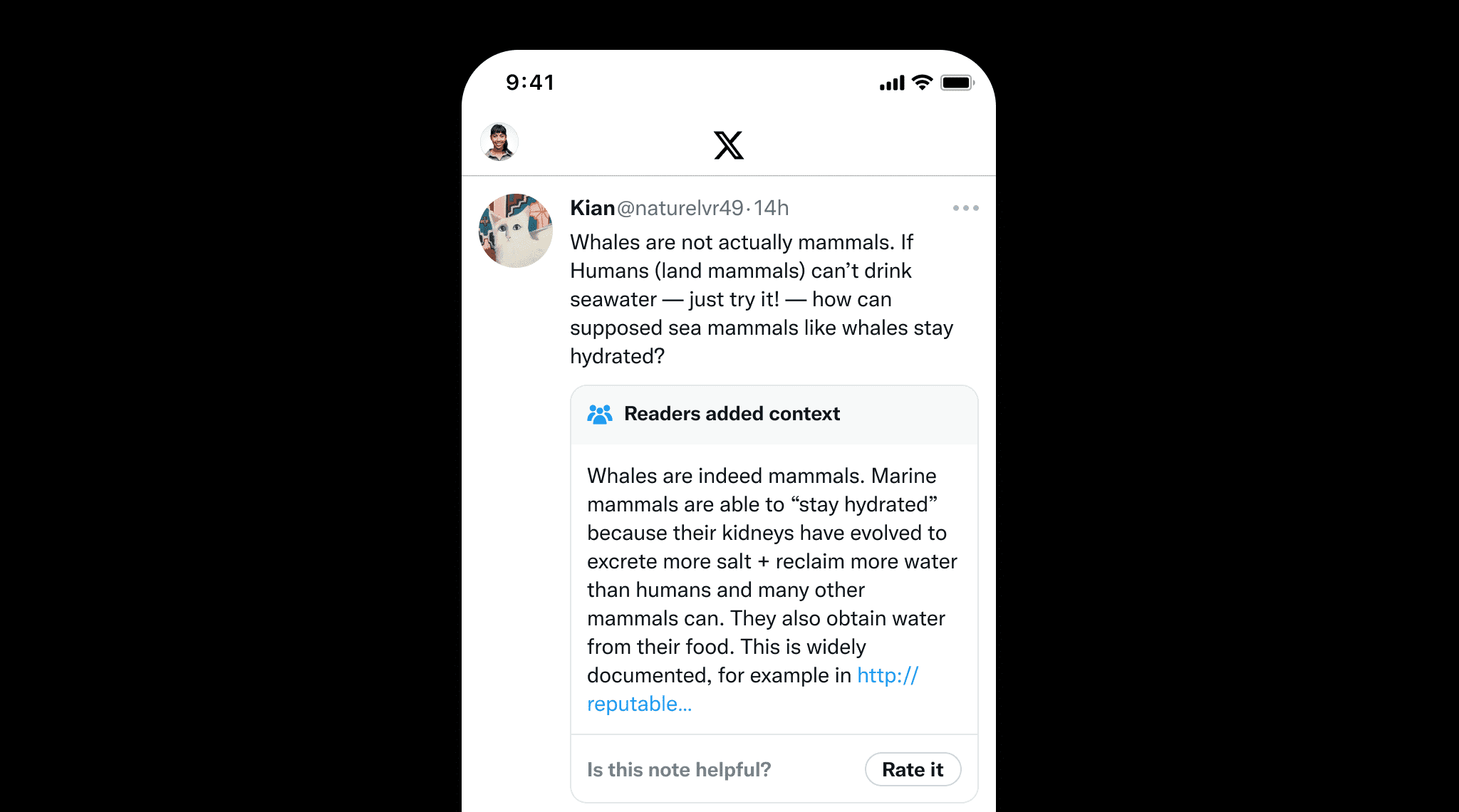 X Community notes feature [Source. X}
