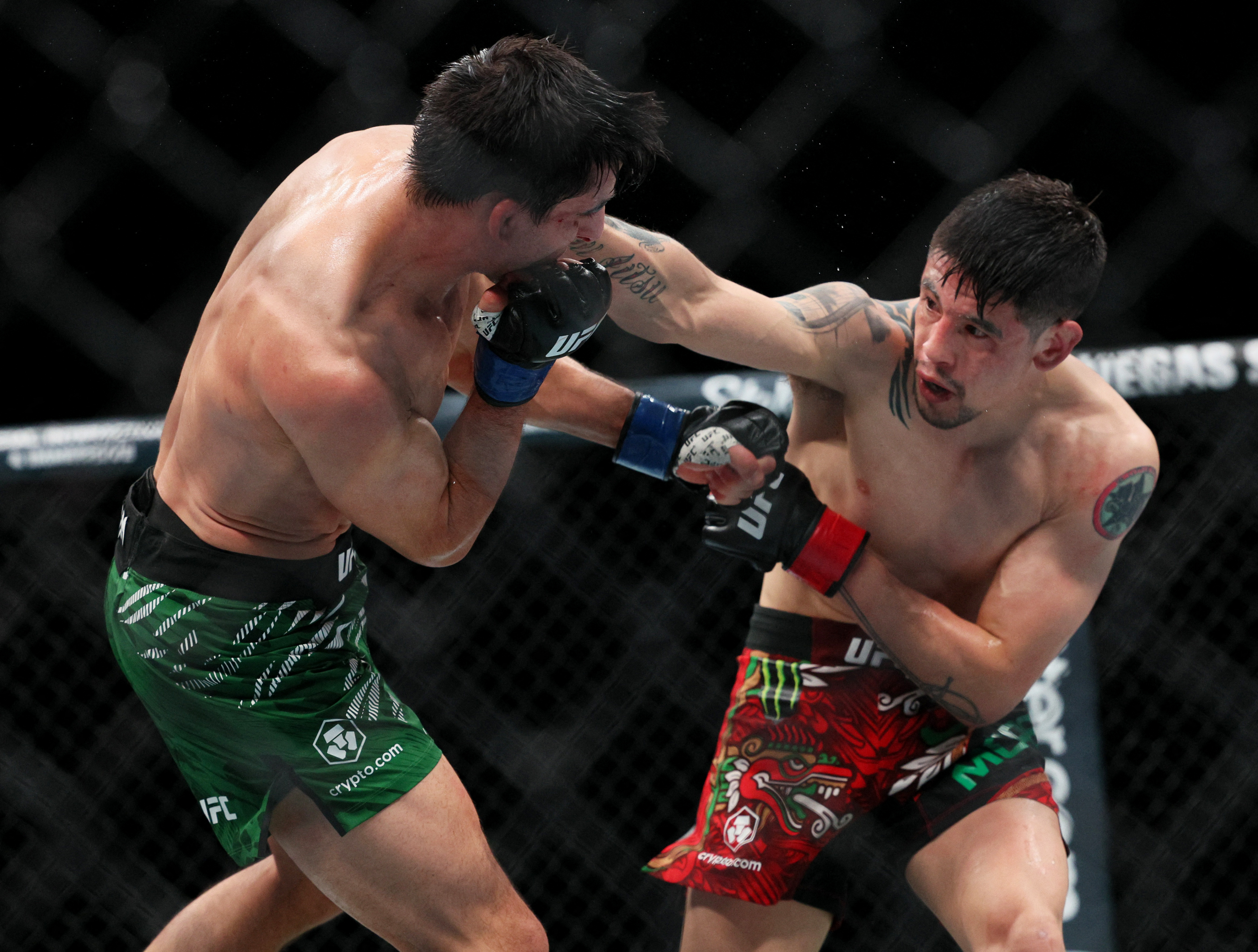 Moreno and Erceg fight.