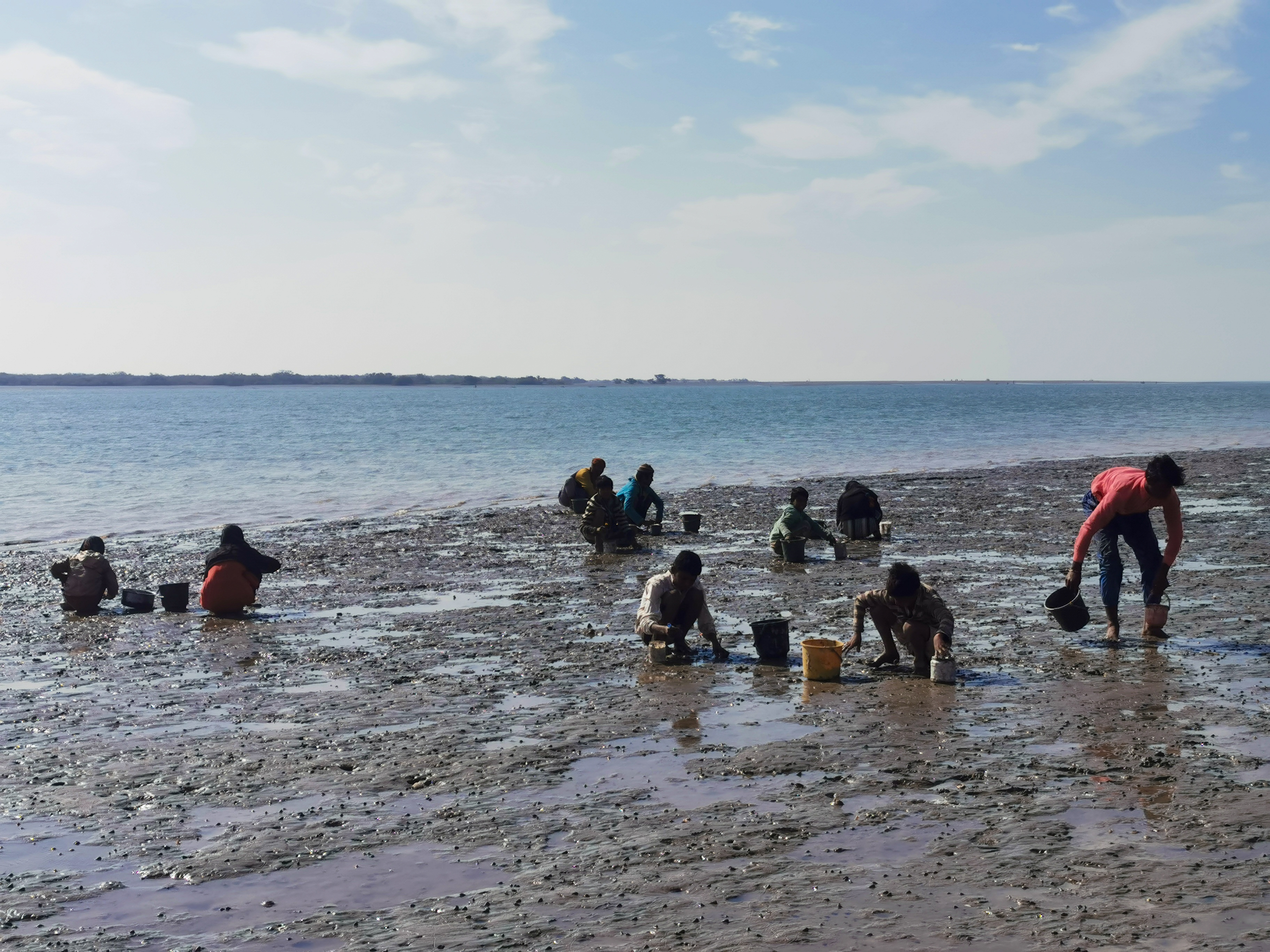 A view of the Indus Delta