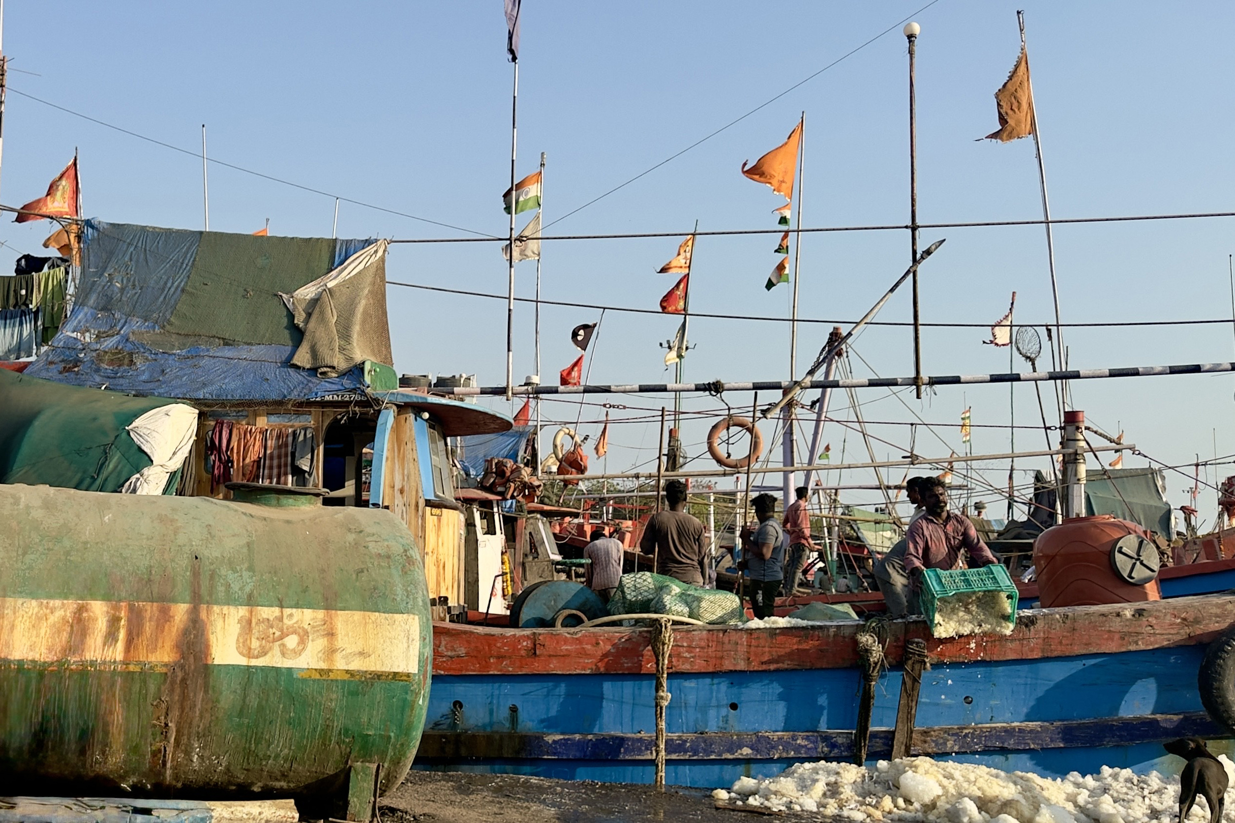 A fisherman unloads chunks of ice from his boat at Diu port, India