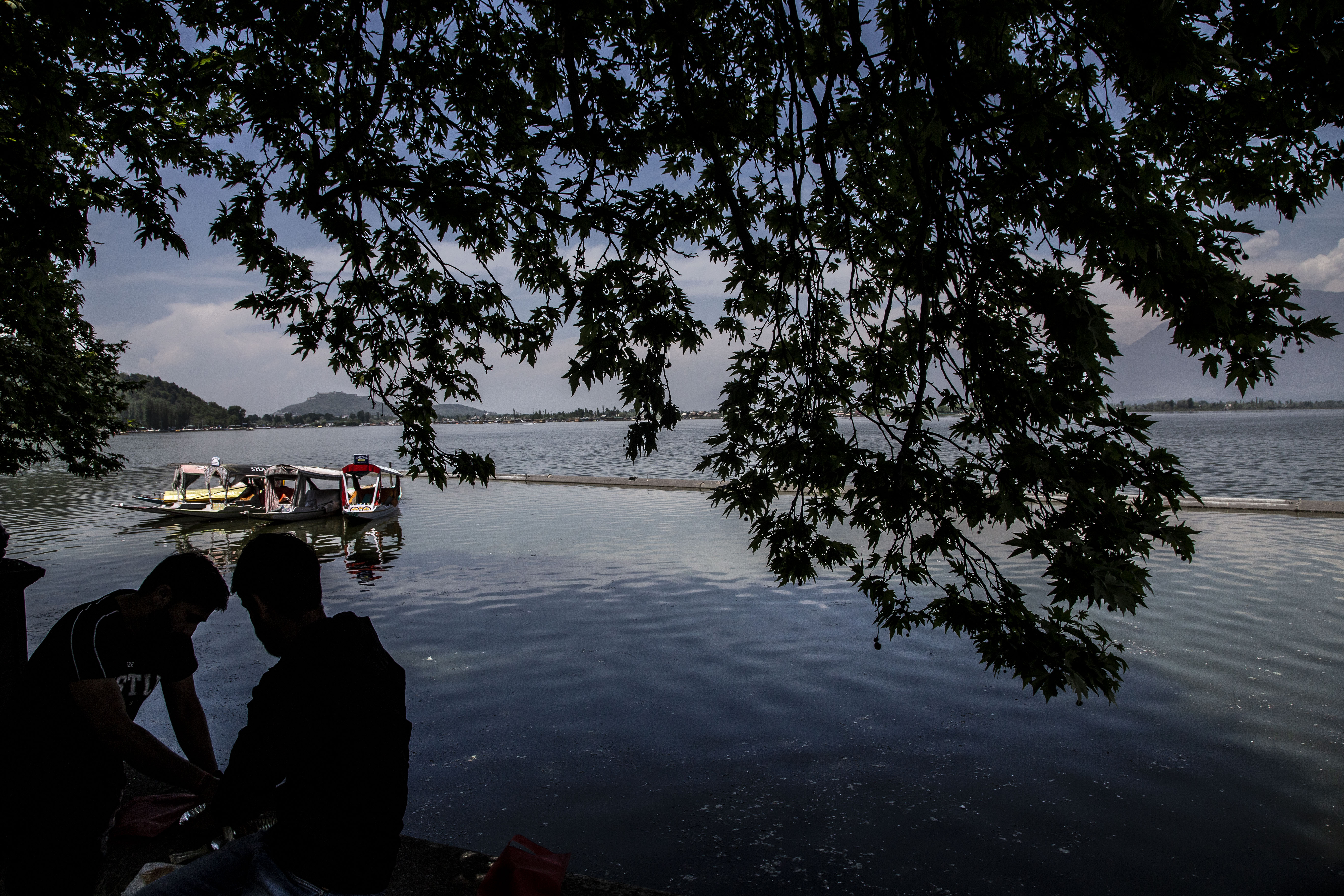 Kashmir