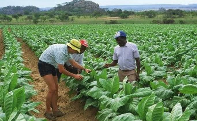 Guy Watson-Smith with workers at his farm in Zimbabwe before it was taken in a land grab [Courtesy of Guy Watson-Smith]