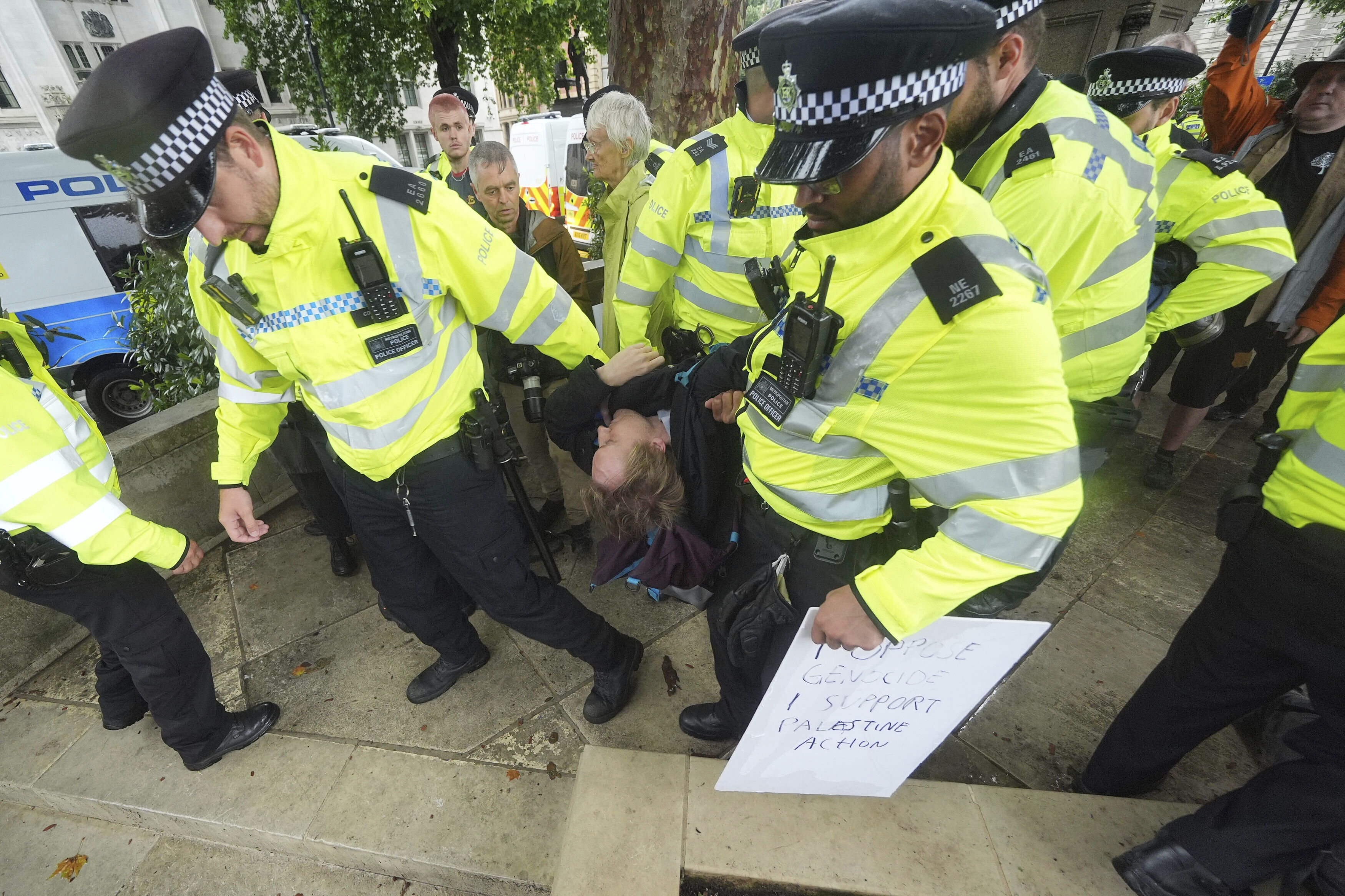 UK police arrest protester