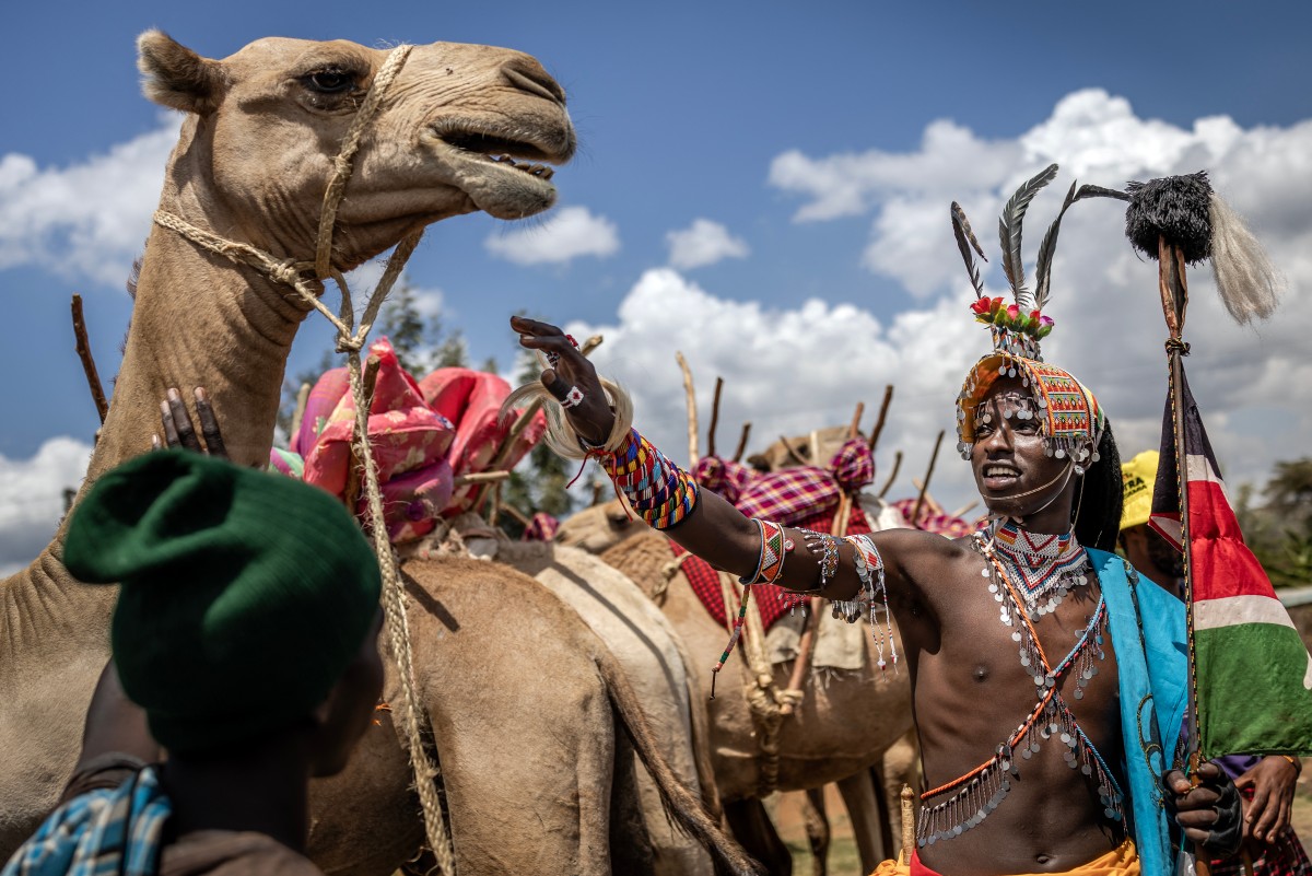 Camel