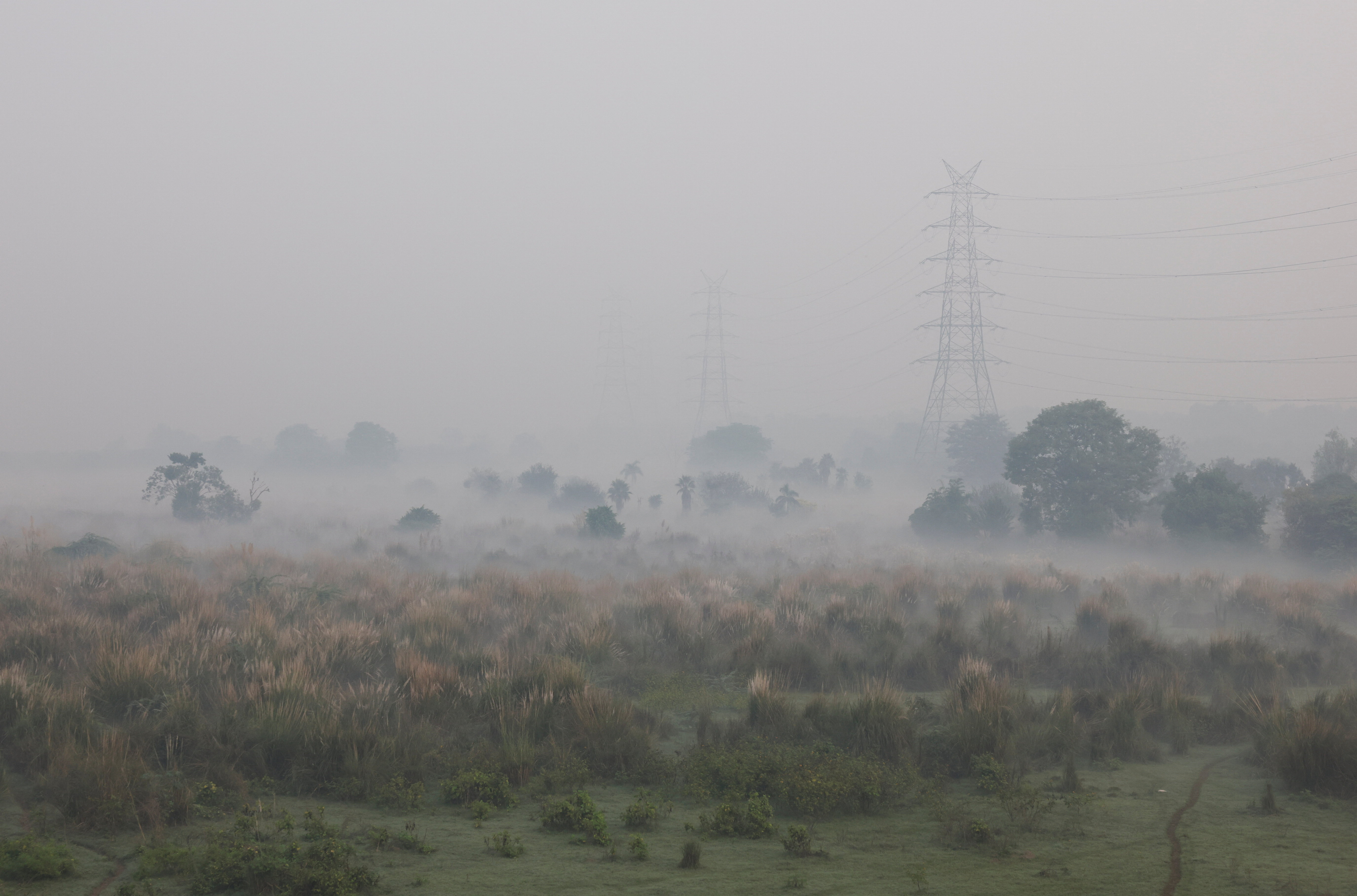 India Pollution