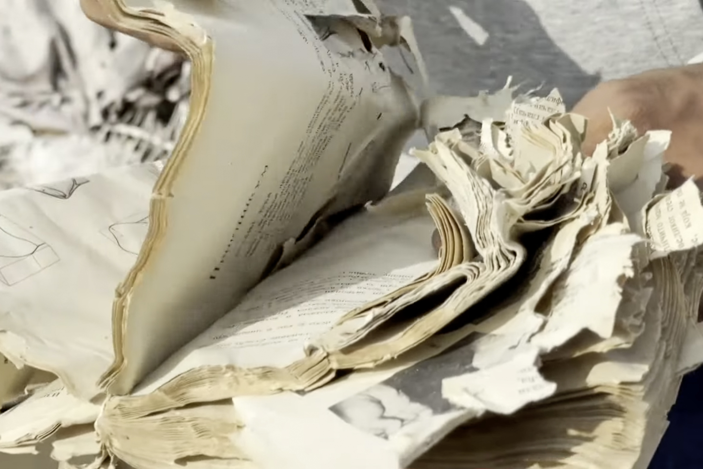 Gaza writer