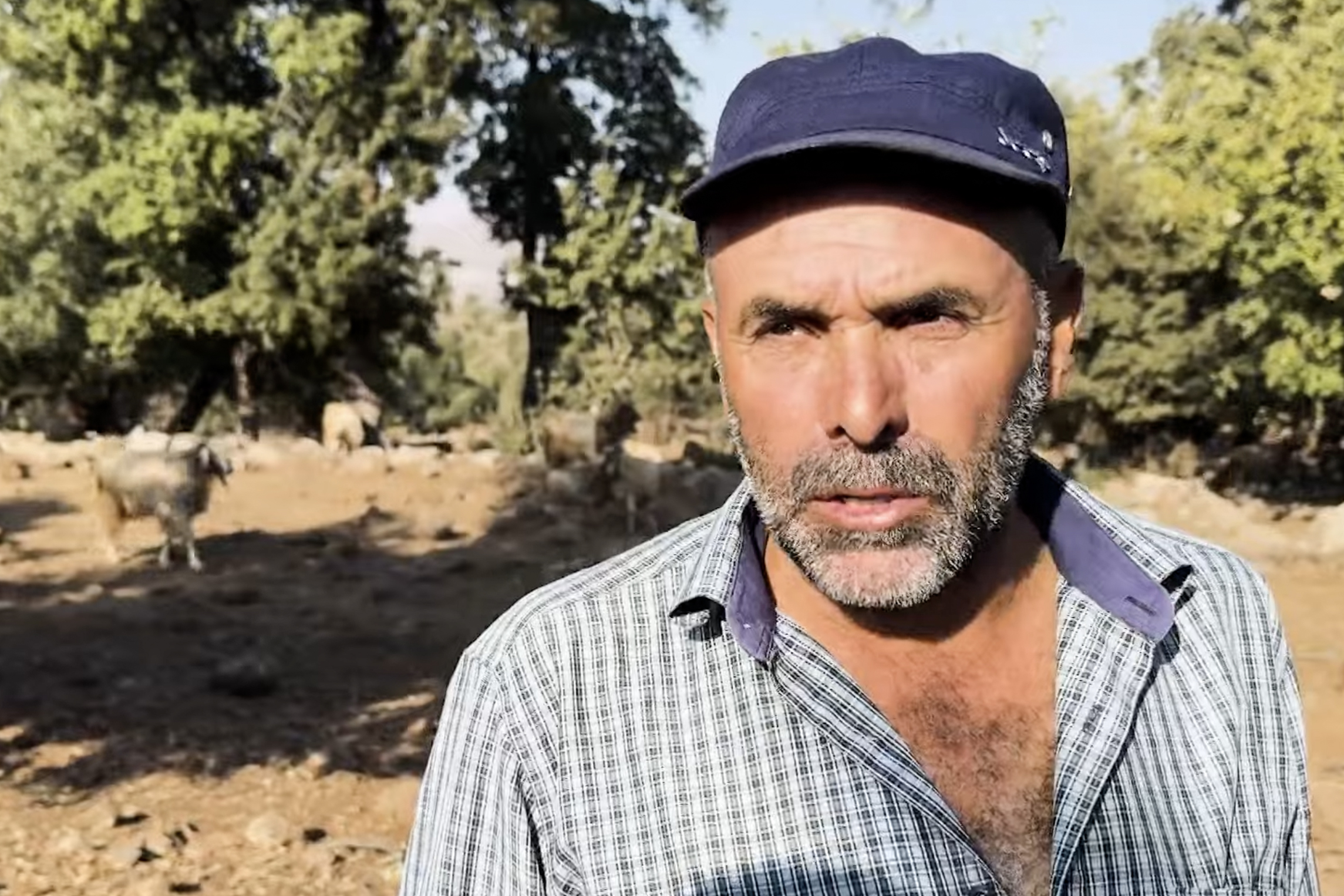 Syria's occupied Golan Heights