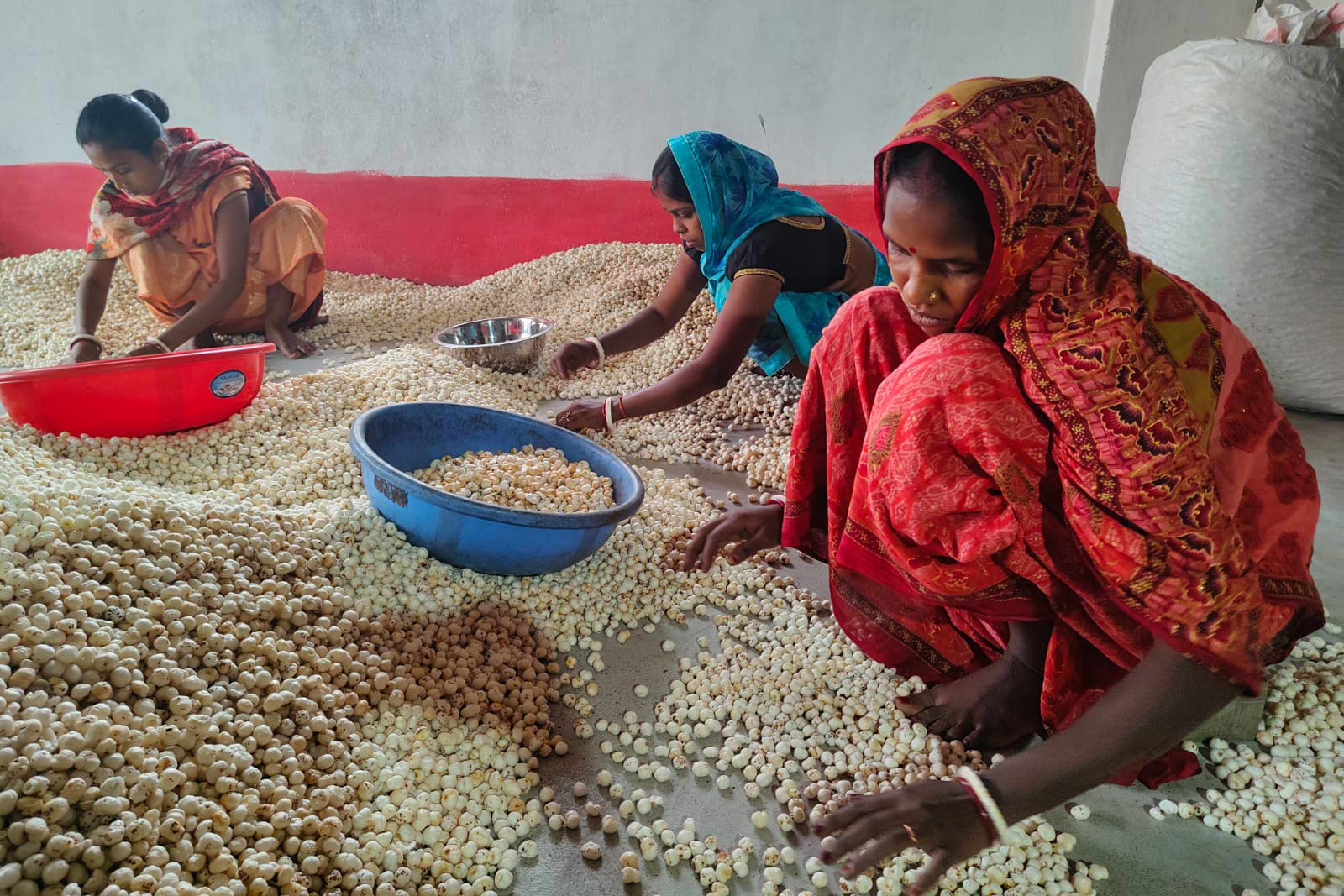 Fox nuts India