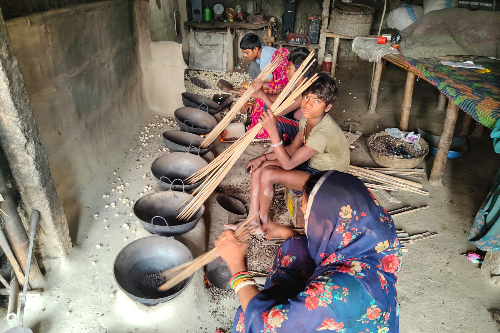 Fox nuts India
