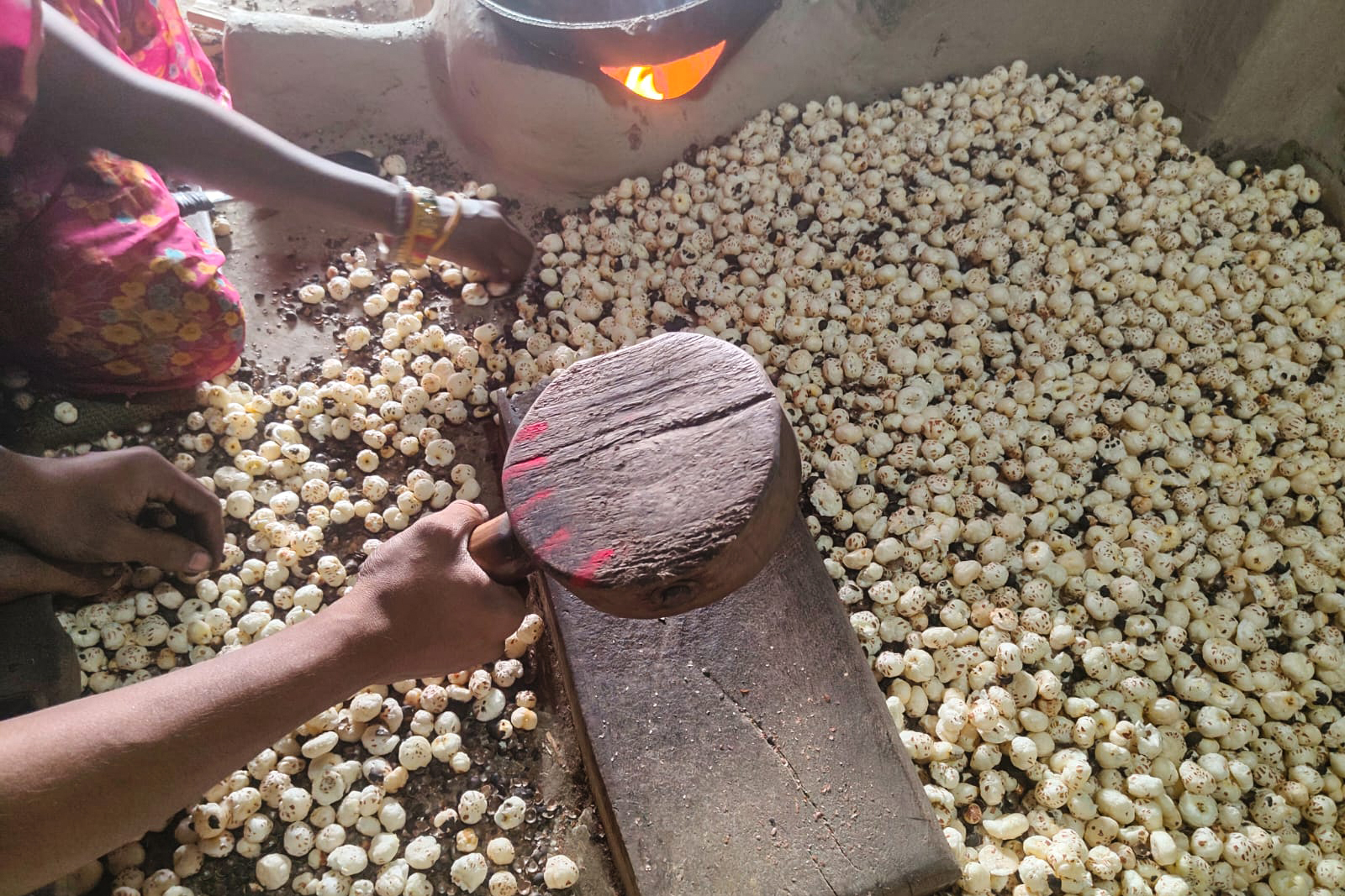 Fox nuts India