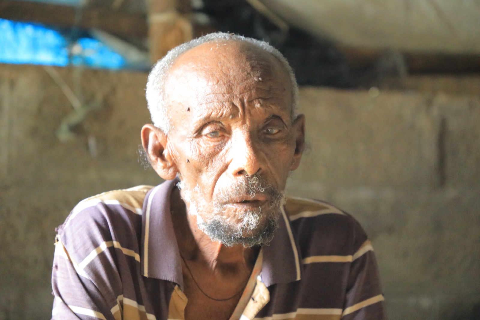 Tigray