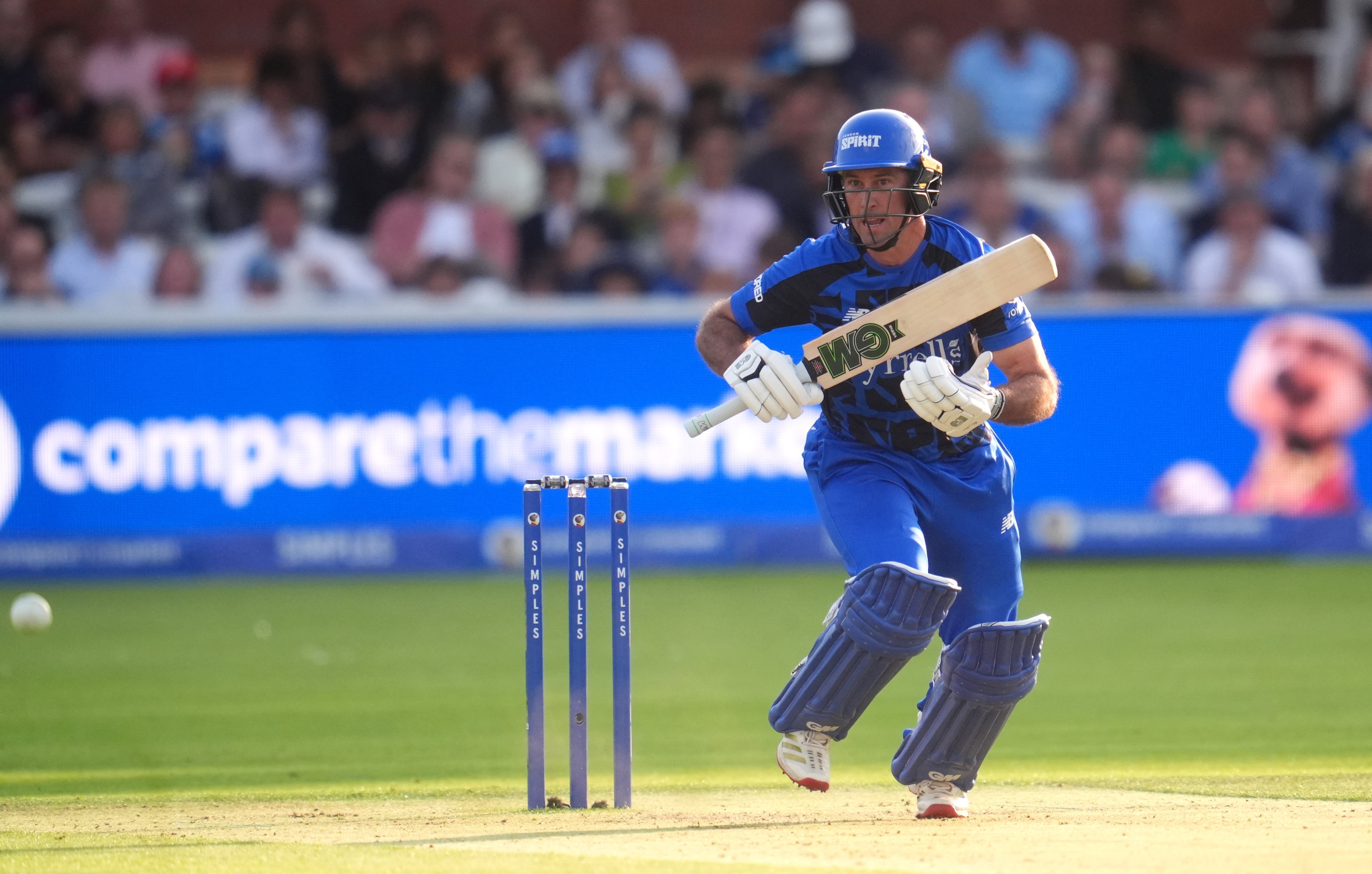 Wayne Madsen, who also plays for Derbyshire and the London Spirit in the UK, is the captain of the Italy national team
