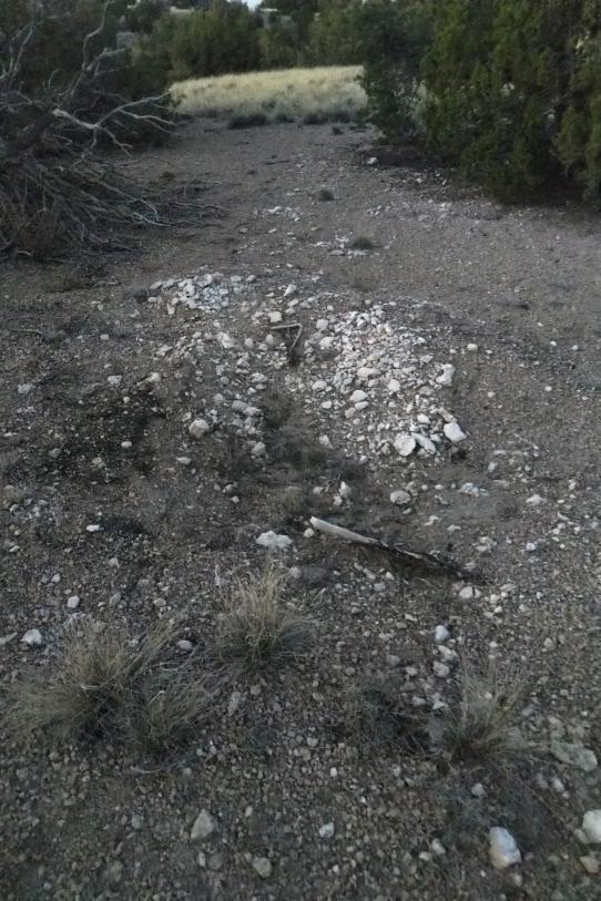 Epstein ranch