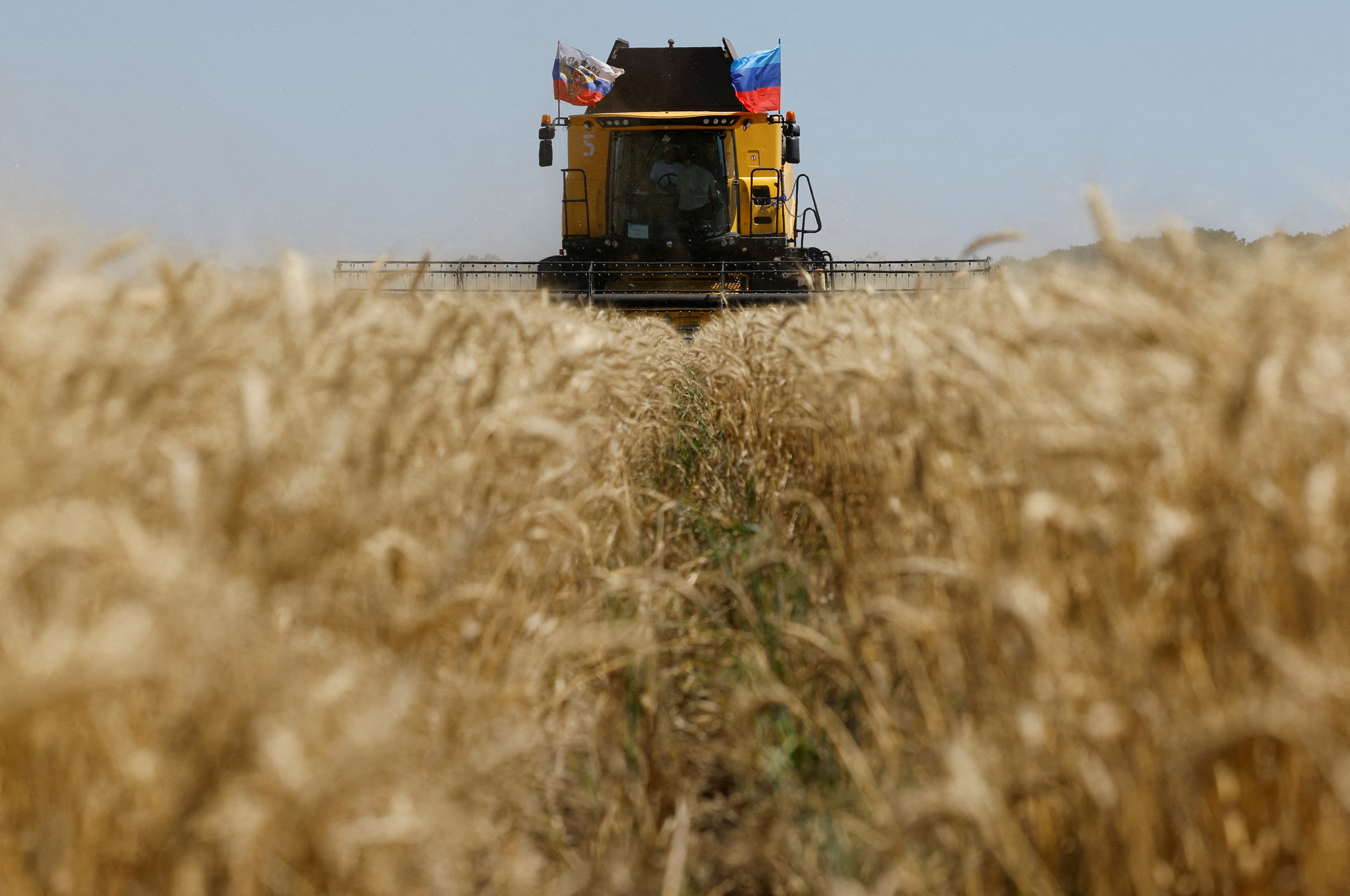 FILE PHOTO: A farmer operates a combine during the start of the wheat harvesting campaign in a field near the town of Starobilsk (Starobelsk) in the Luhansk Region, a Russian-controlled area of Ukraine, July 9, 2025. REUTERS/Alexander Ermochenko/File Photo