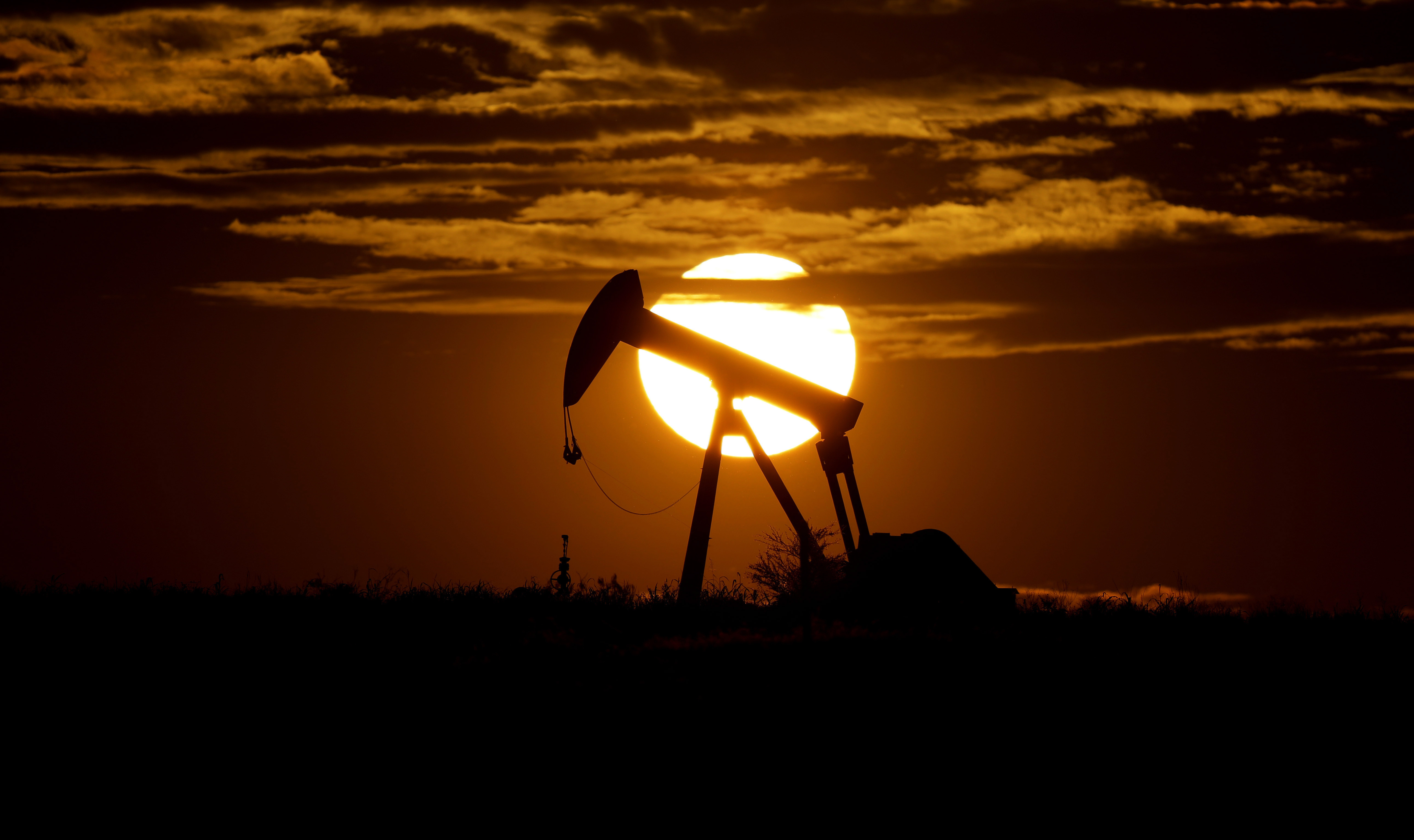 oil