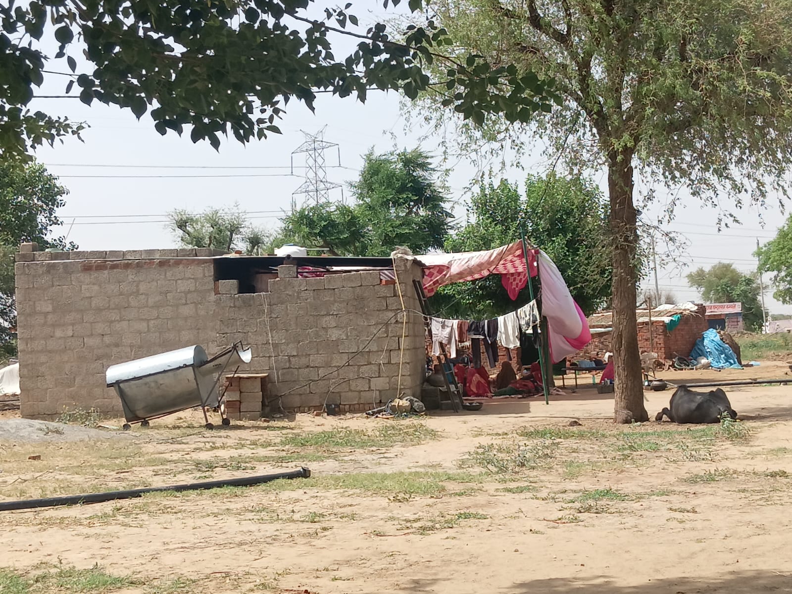 Rajesh and Pradeep’s one-room shed in Jhunjhunu, Rajasthan, with poor ventilation and a fragile structure covered with a tin roof [Courtesy of Pradeep’s family]
