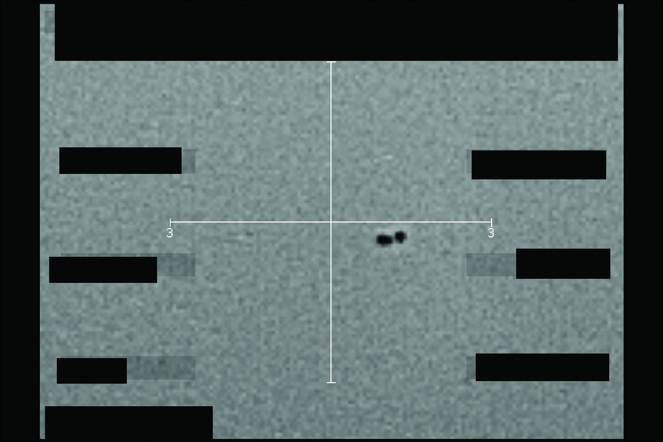 This handout image released by the US Department of Defense on May 8, 2026, shows what the Department of Defense and FBI say is an infrared still image derived from a US military system showing unidentified object(s) over the western United States in September, 2025.