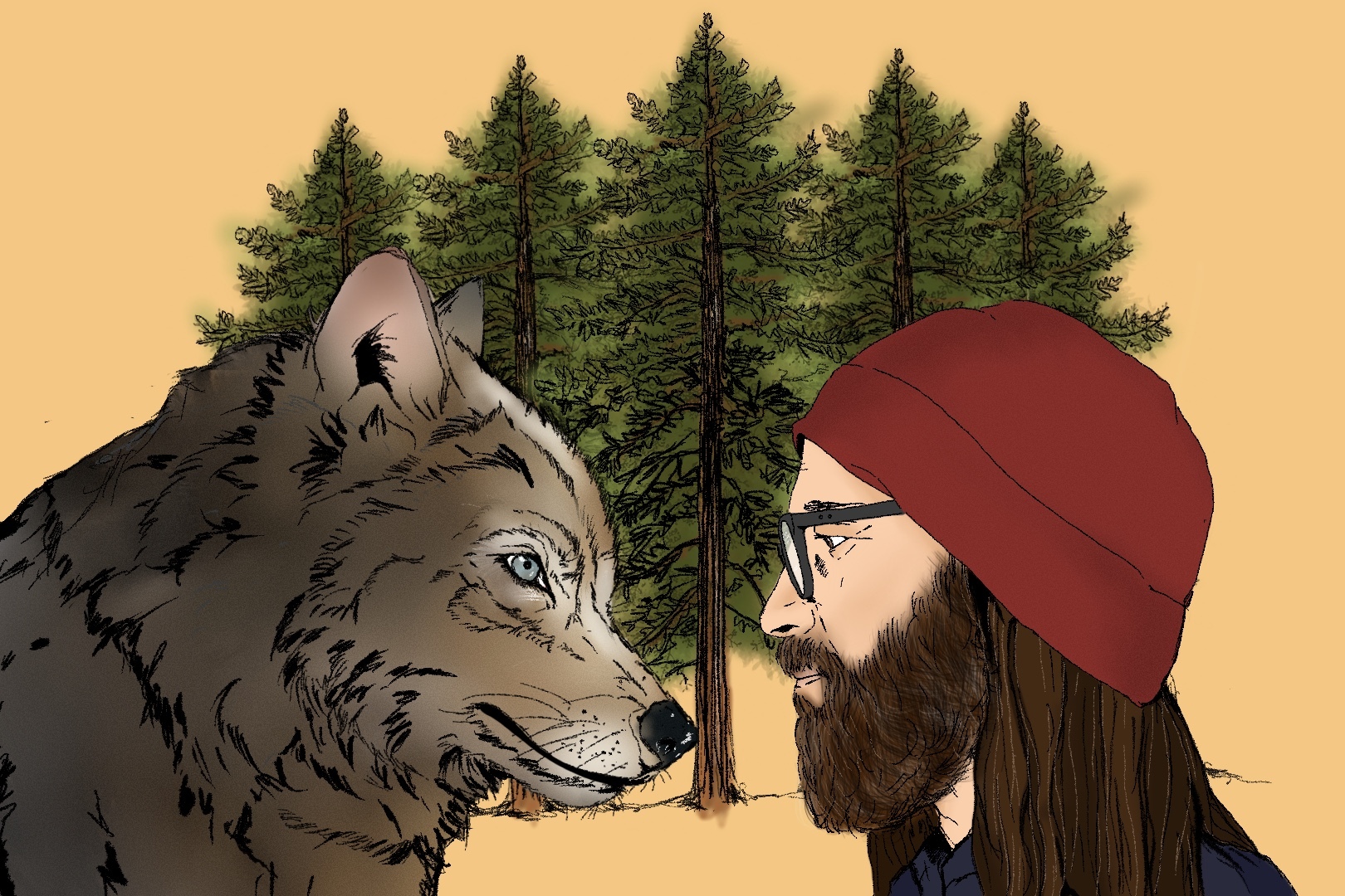 An illustration of a Norwegian photographer's encounter with a wolf in the wild [Jawahir Al-Naimi/Al Jazeera]