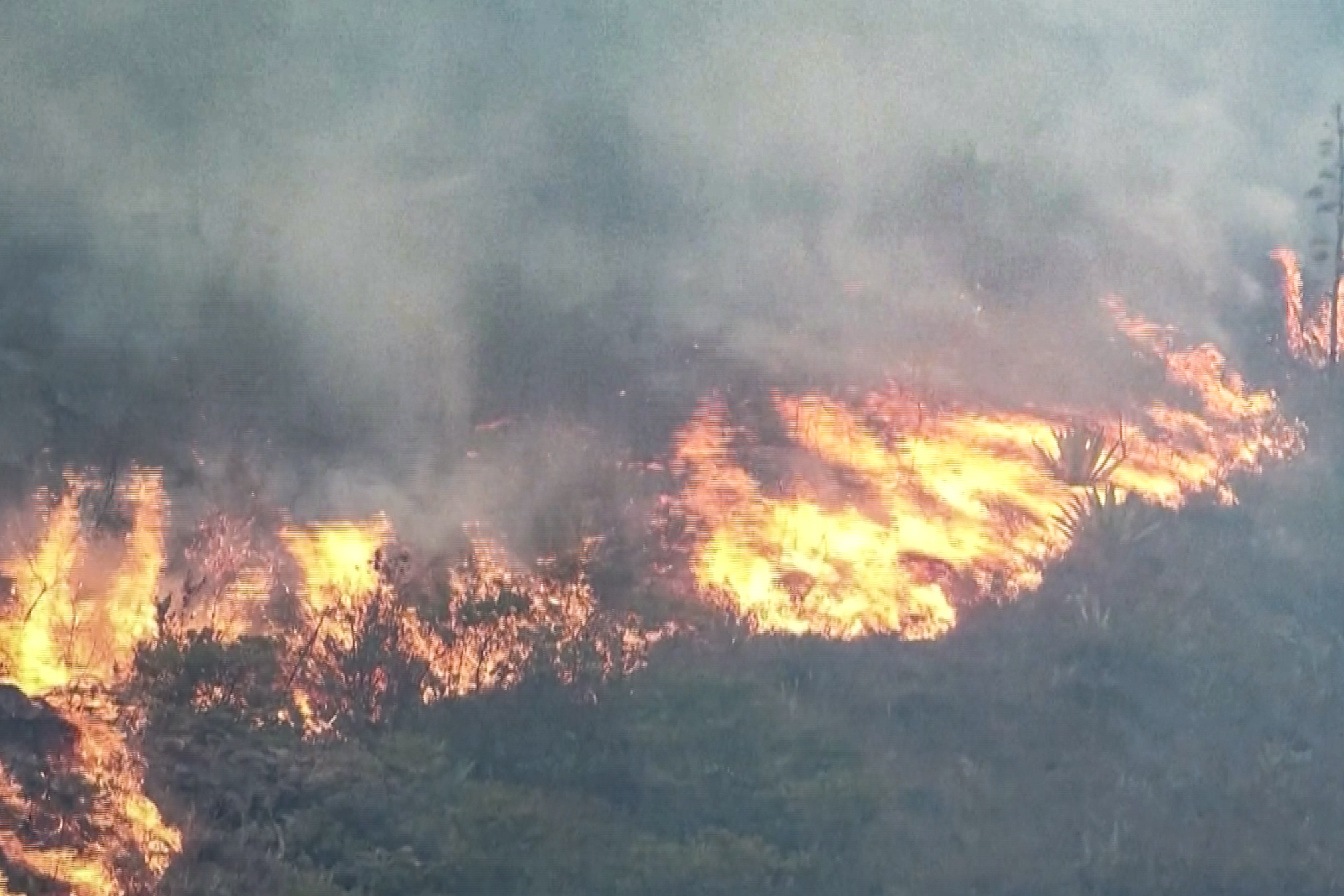 A massive forest fire was burning Sunday in central Colombia near the popular tourist town of Villa de Leyva